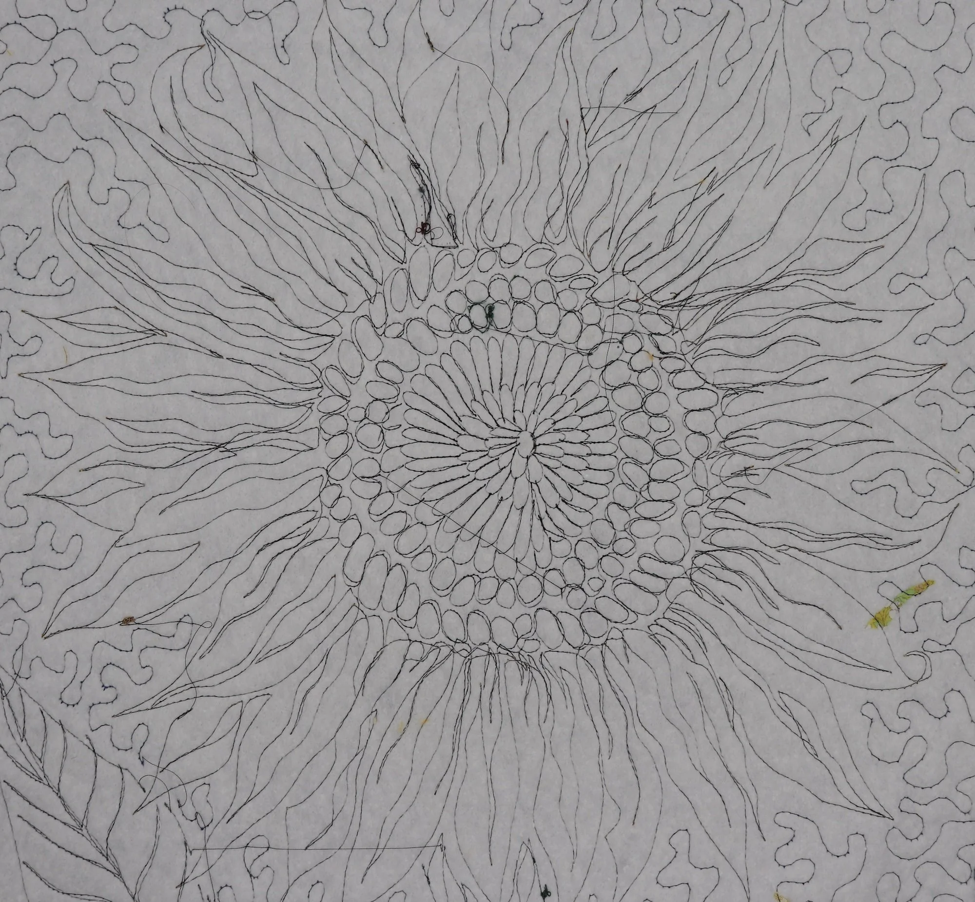 Back of Sunflower.jpeg