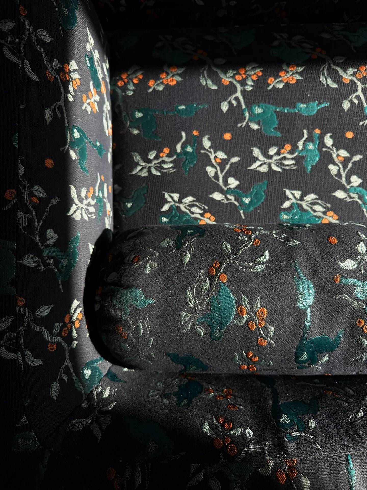 A personal favorite of mine, @zakandfox Saru comes to life in the morning sun.