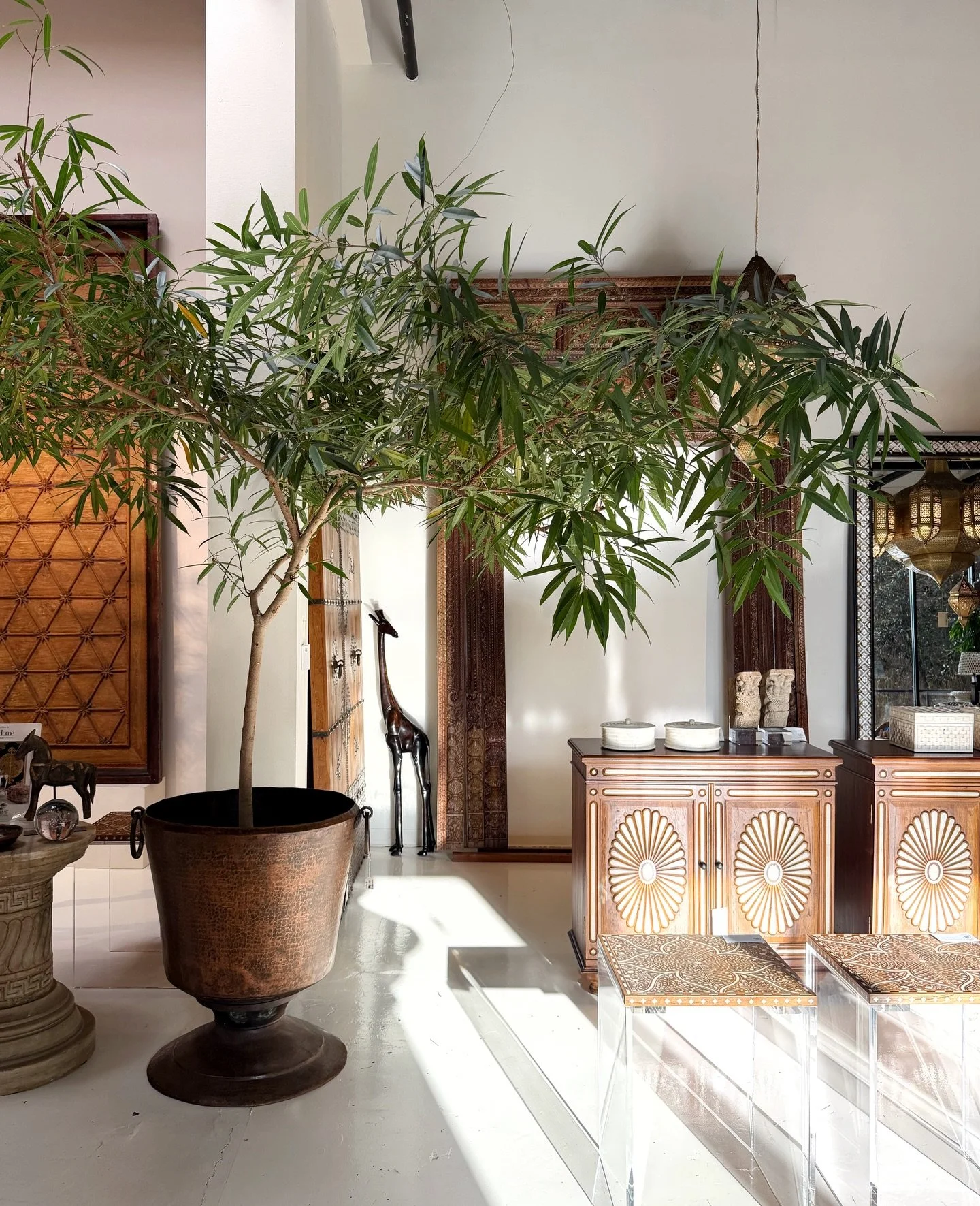 Golden hour exploring @aoihome_, such a beautiful space.