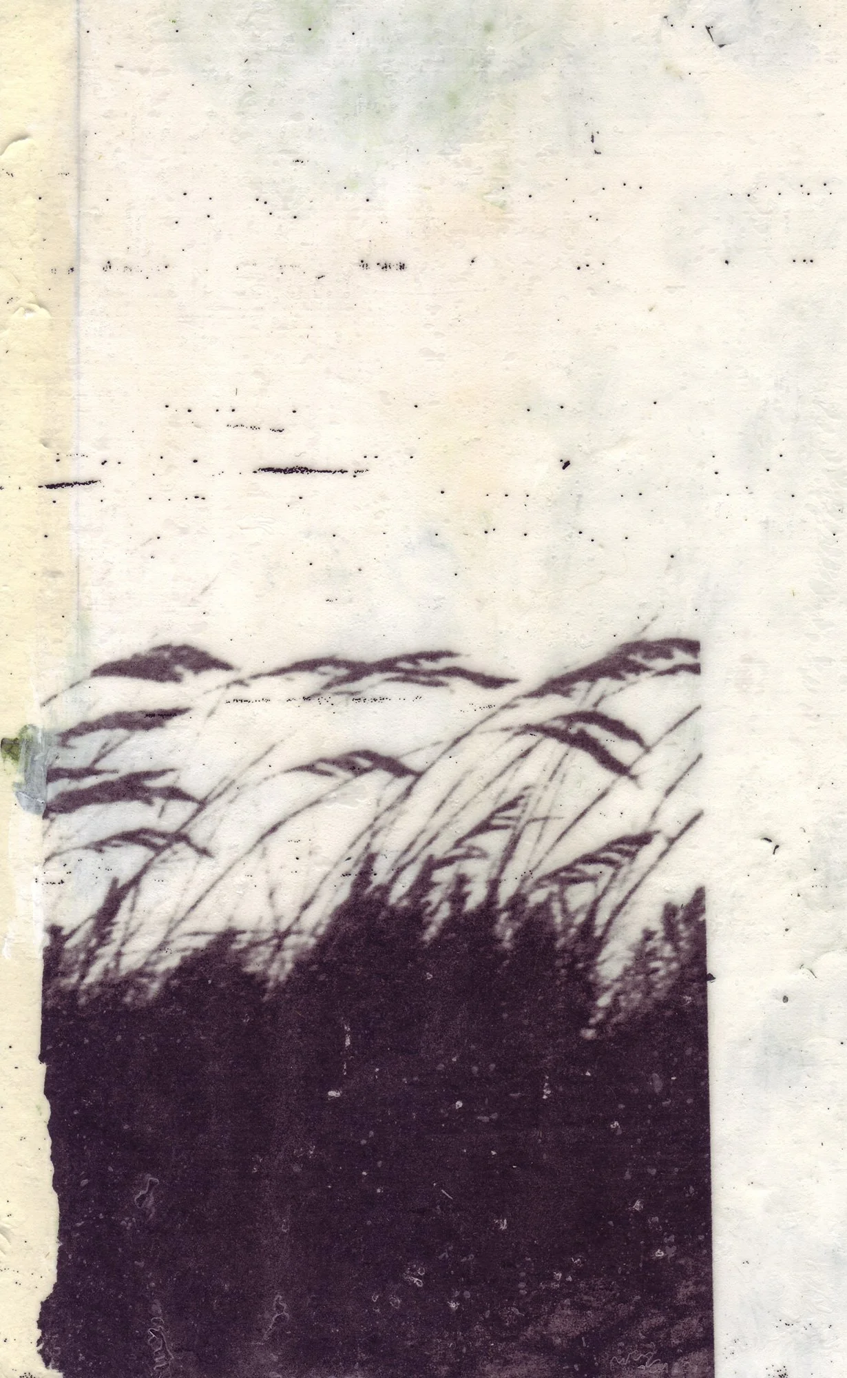  The Earth on the Back of the Giant Turtle  — pigment transfer on paper, 8 x 5 inches, 2007