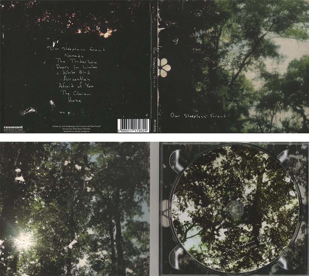Our Sleepless Forest