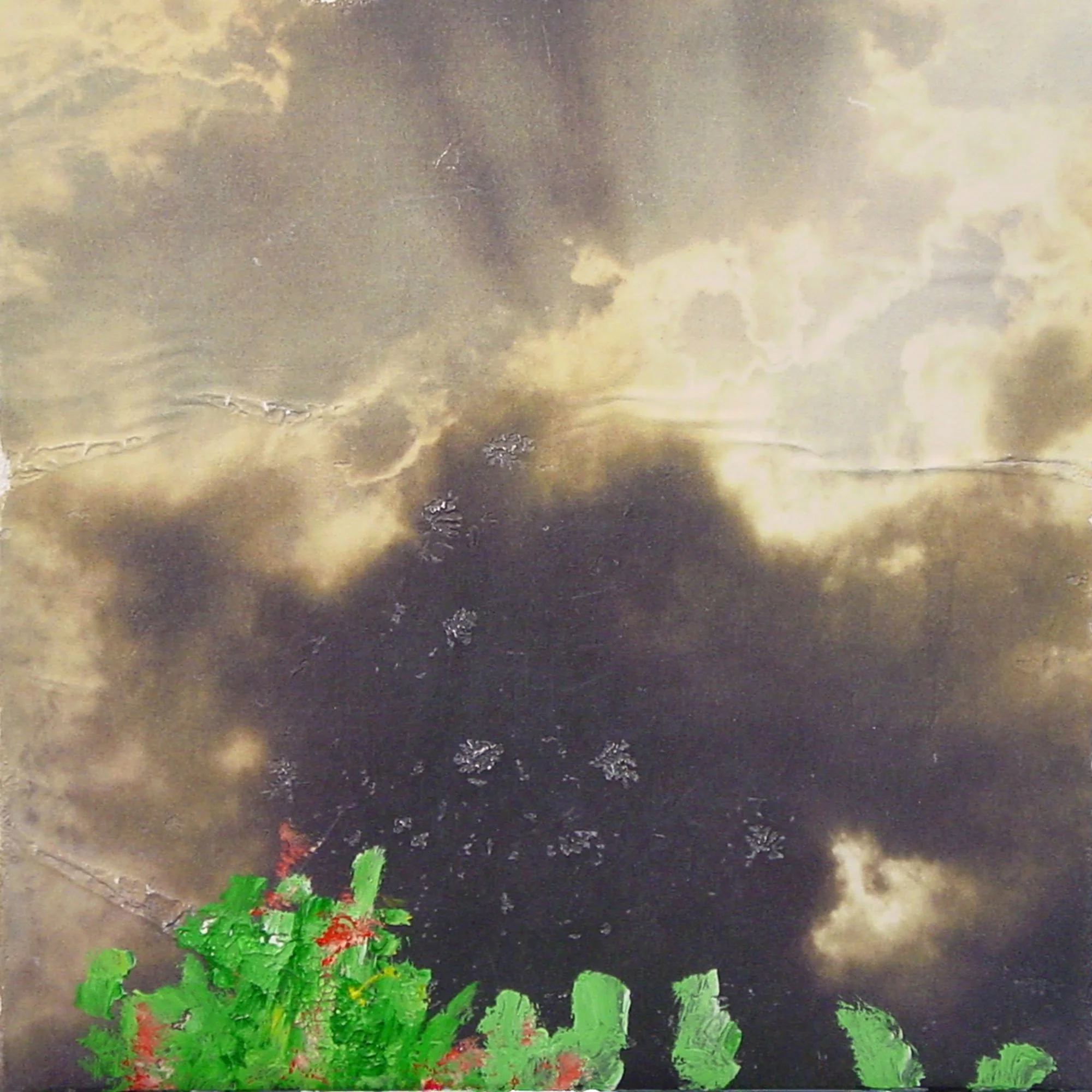  The Physical Home of an Individual or Population Is its Habitat  — acrylic, pigment transfer on canvas, 10 x 10 inches, 2004