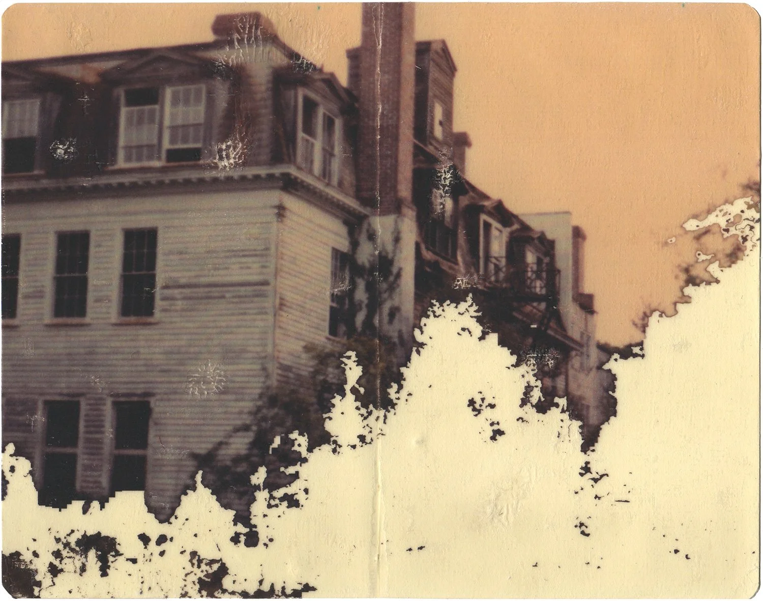  The Monarchs' Migration  — pigment transfer on paper, 8 x 10 inches, 2008
