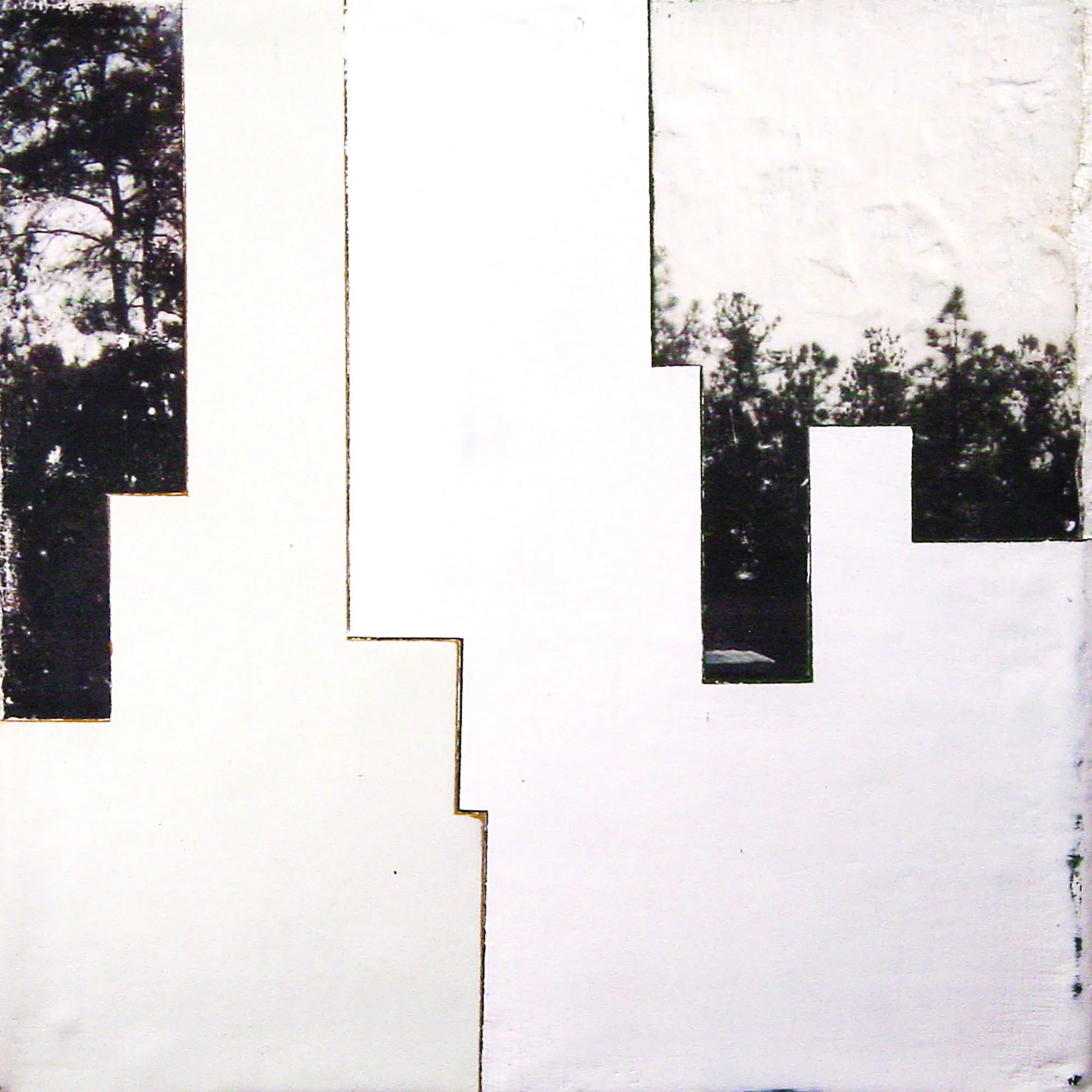  International Working Party For Documentation & Conservation of Building
Sites & Neighborhoods of the Modern Movement  — acrylic, pigment transfer on canvas, 10 x 10 inches, 2006