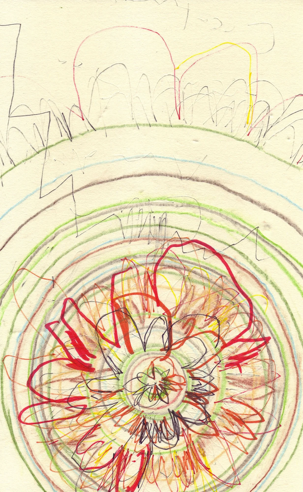  The Earth on the Back of the Giant Turtle  — graphite, permanent marker on paper, 8 x 5 inches, 2007