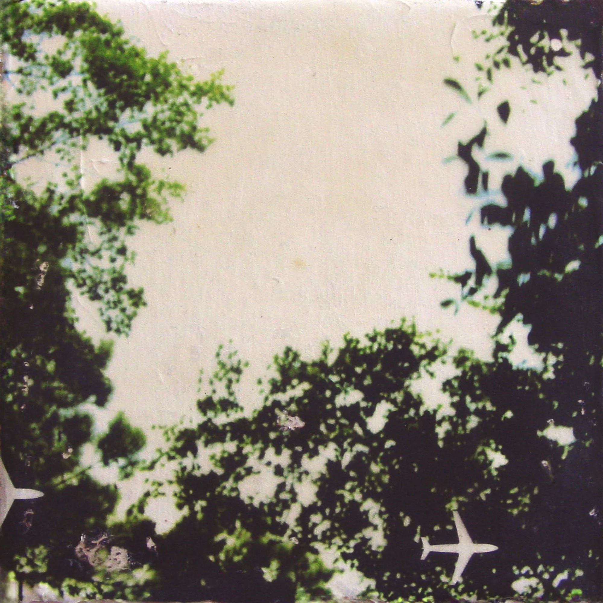  Butterflies,Dragonflies and Bees Appear  — pigment transfer on canvas, 10 x 10 inches, 2003