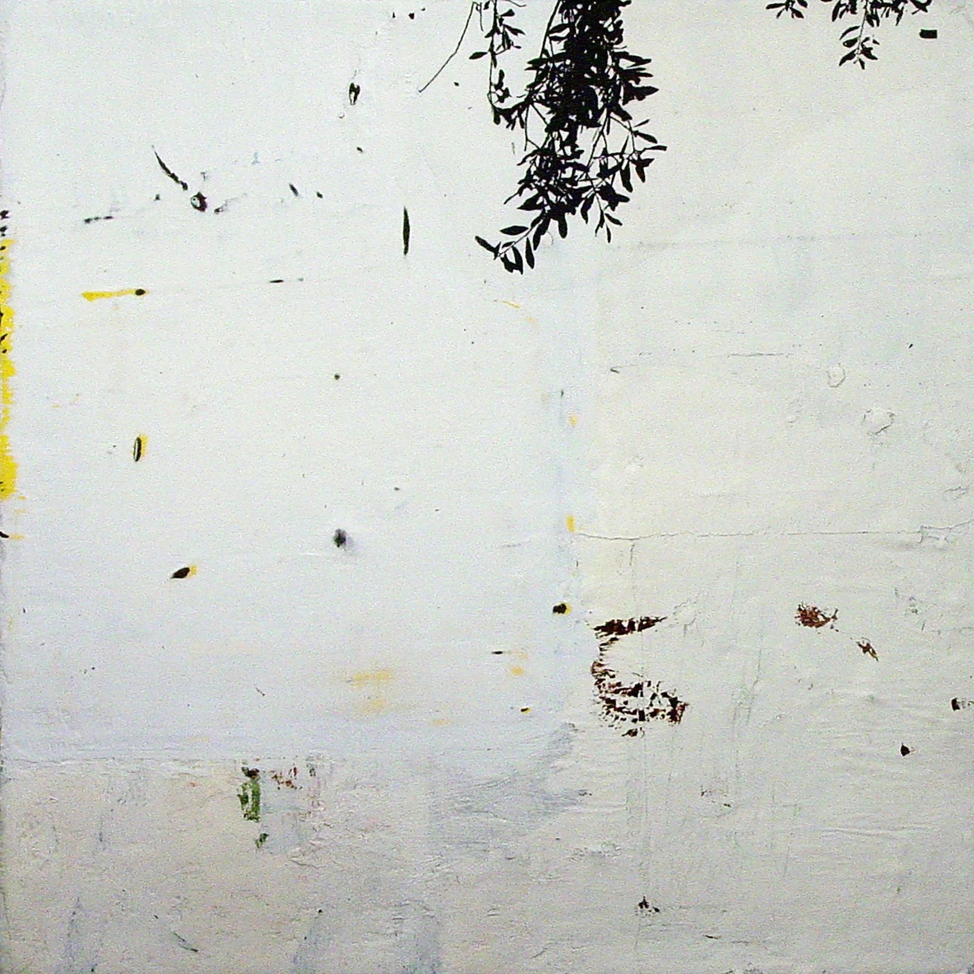  Great Sea Creatures & The Earth on the Back of the Giant Turtle  — acrylic, pigment transfer on canvas, 10 x 10 inches, 2007