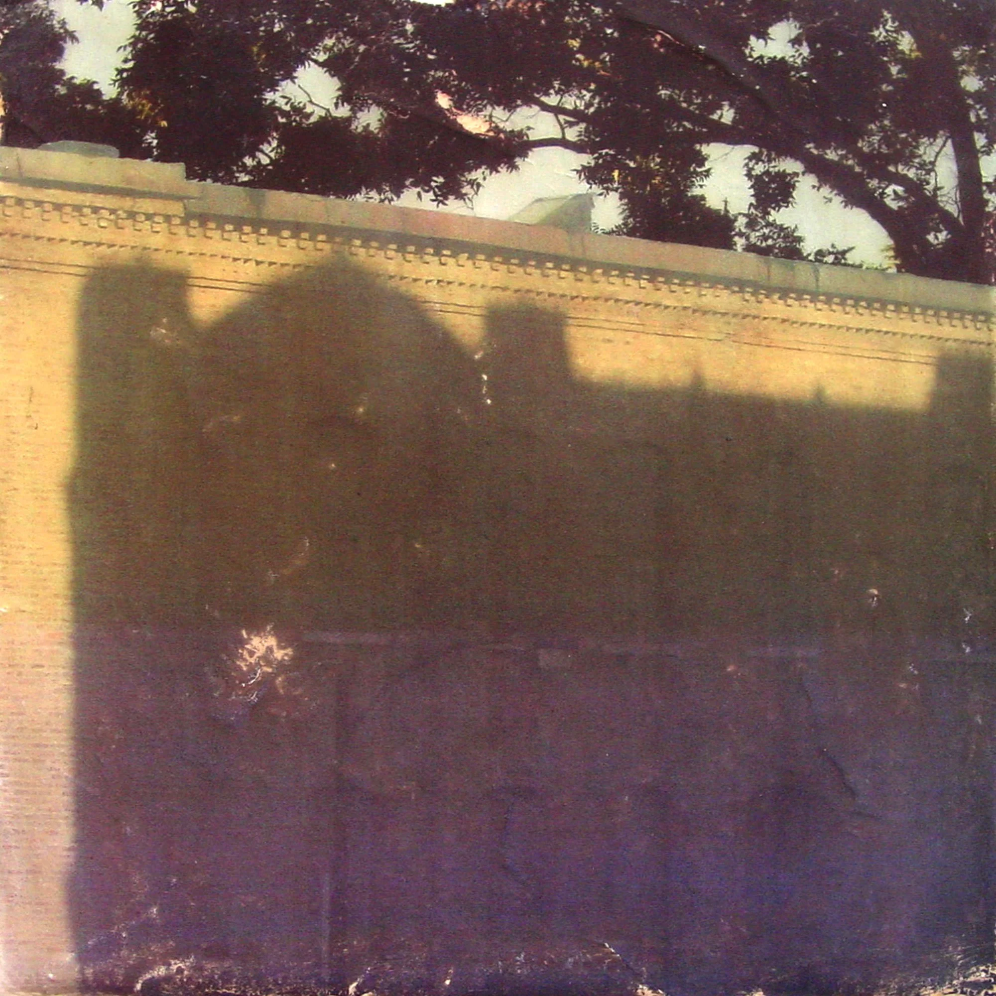  Finite Products of the Earth  — pigment transfer on canvas, 10 x 10 inches, 2003