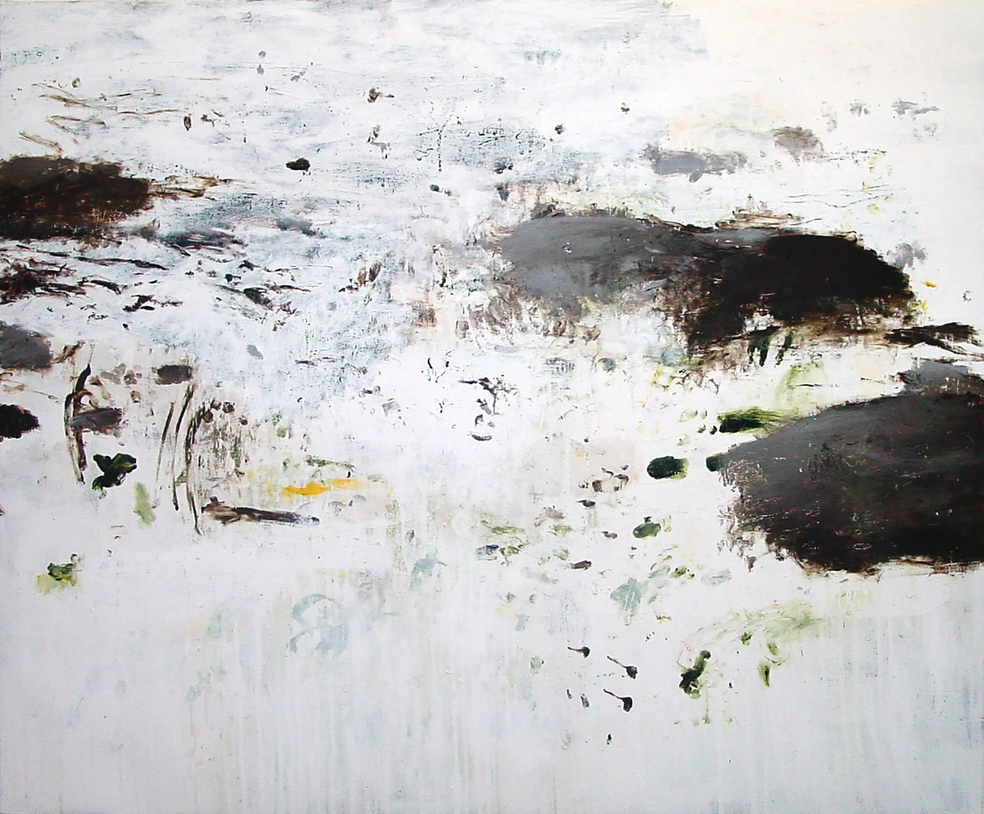  The Earth on the Back of the Giant Turtle  — acrylic, graphite on canvas, 50 x 60 inches, 2007