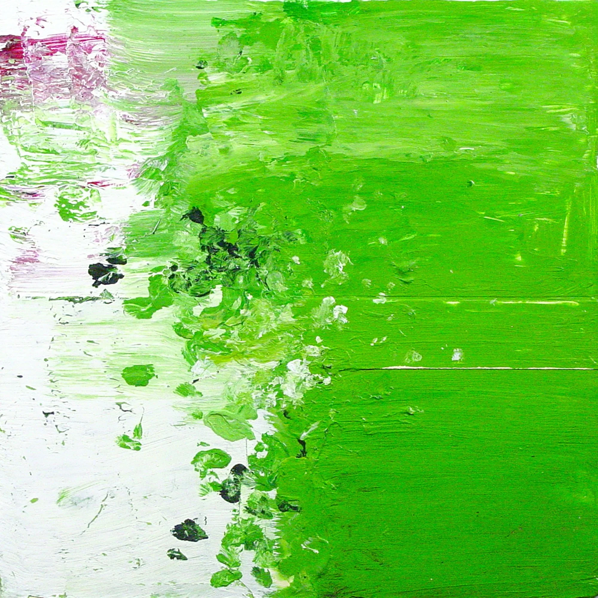  Great Sea Creatures & Punica Granatum  — acrylic on canvas, 10 x 10 inches, 2004