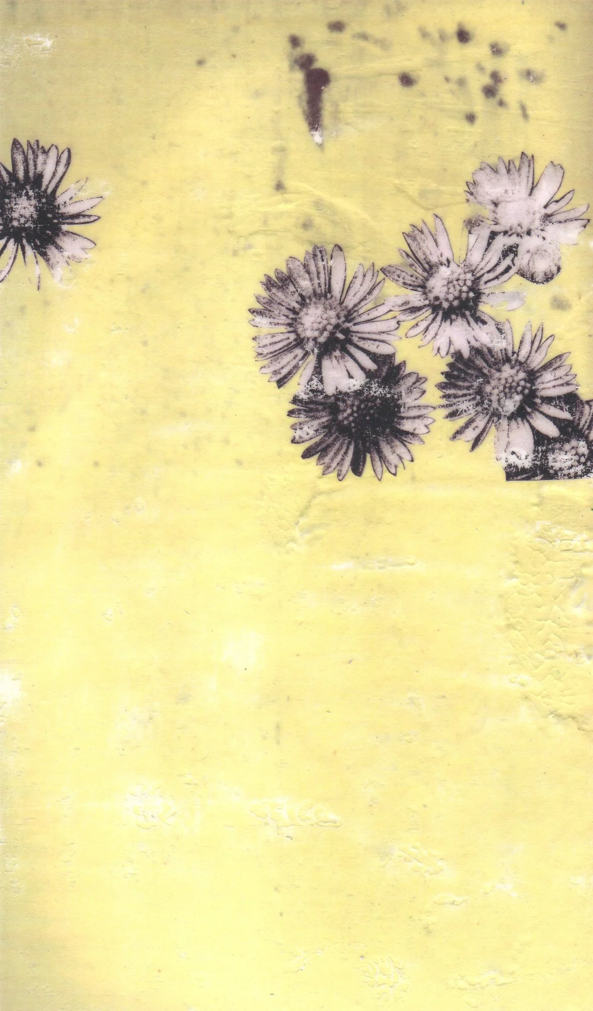  The Earth on the Back of the Giant Turtle  — pigment transfer on paper, 8 x 5 inches, 2007
