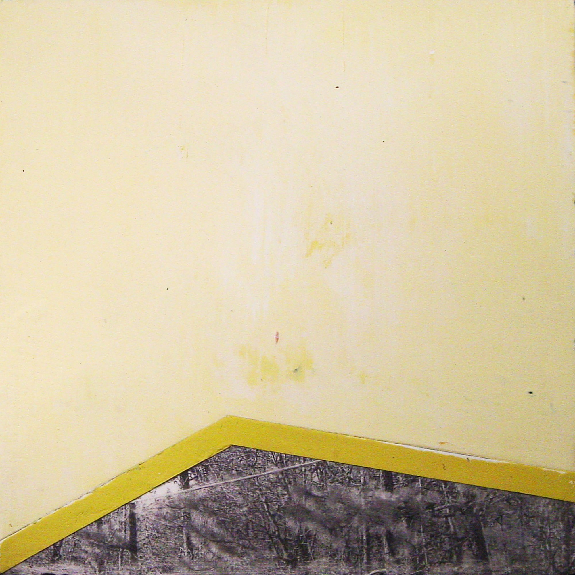  International Working Party For Documentation & Conservation of Building
Sites & Neighborhoods of the Modern Movement  — acrylic, pigment transfer on canvas, 10 x 10 inches, 2006