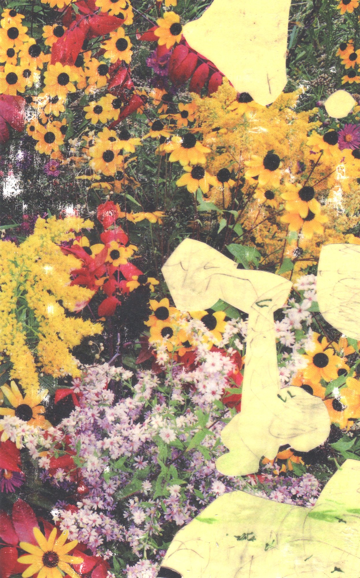  The Earth on the Back of the Giant Turtle  — pigment transfer on paper, 8 x 5 inches, 2007