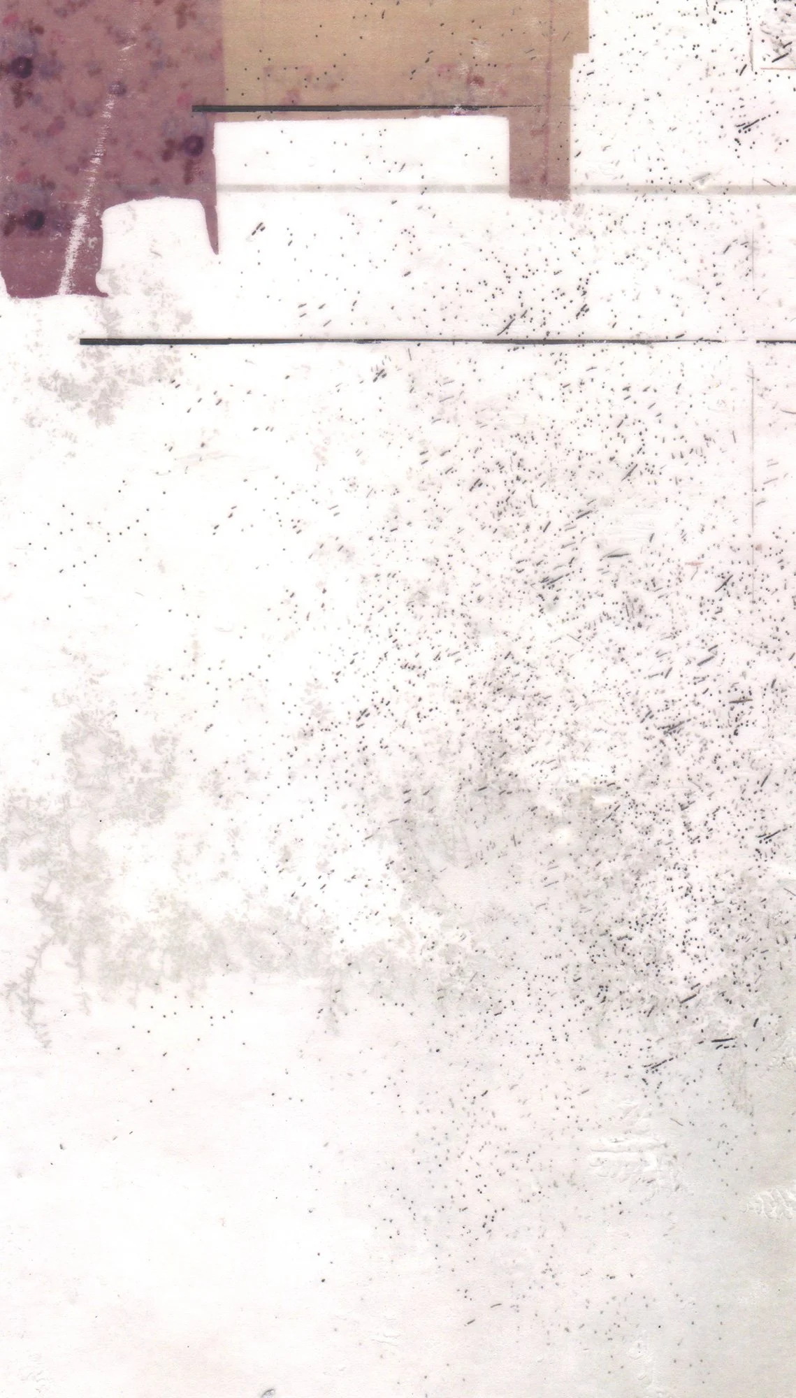  The Earth on the Back of the Giant Turtle  — pigment transfer on canvas, 11 x 7 inches, 2007