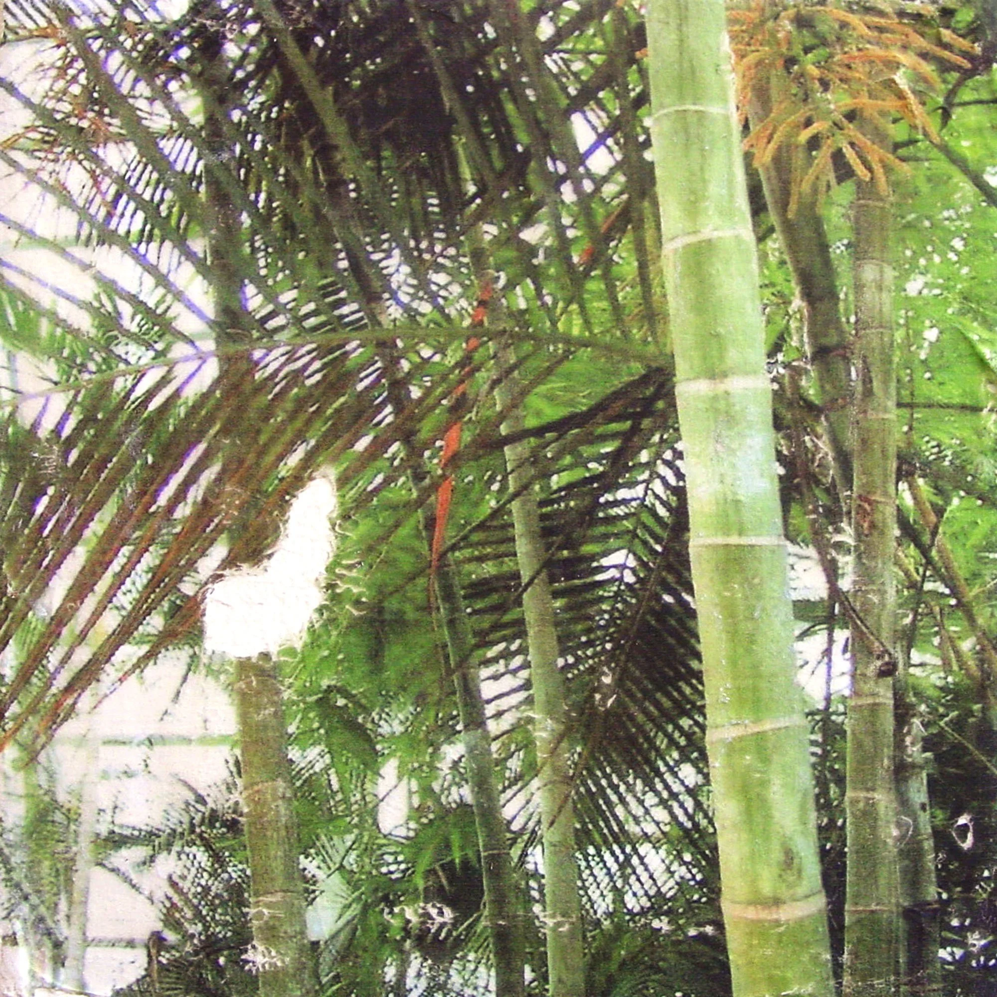 To Save Endangered Species  — pigment transfer on canvas, 10 x 10 inches, 2003