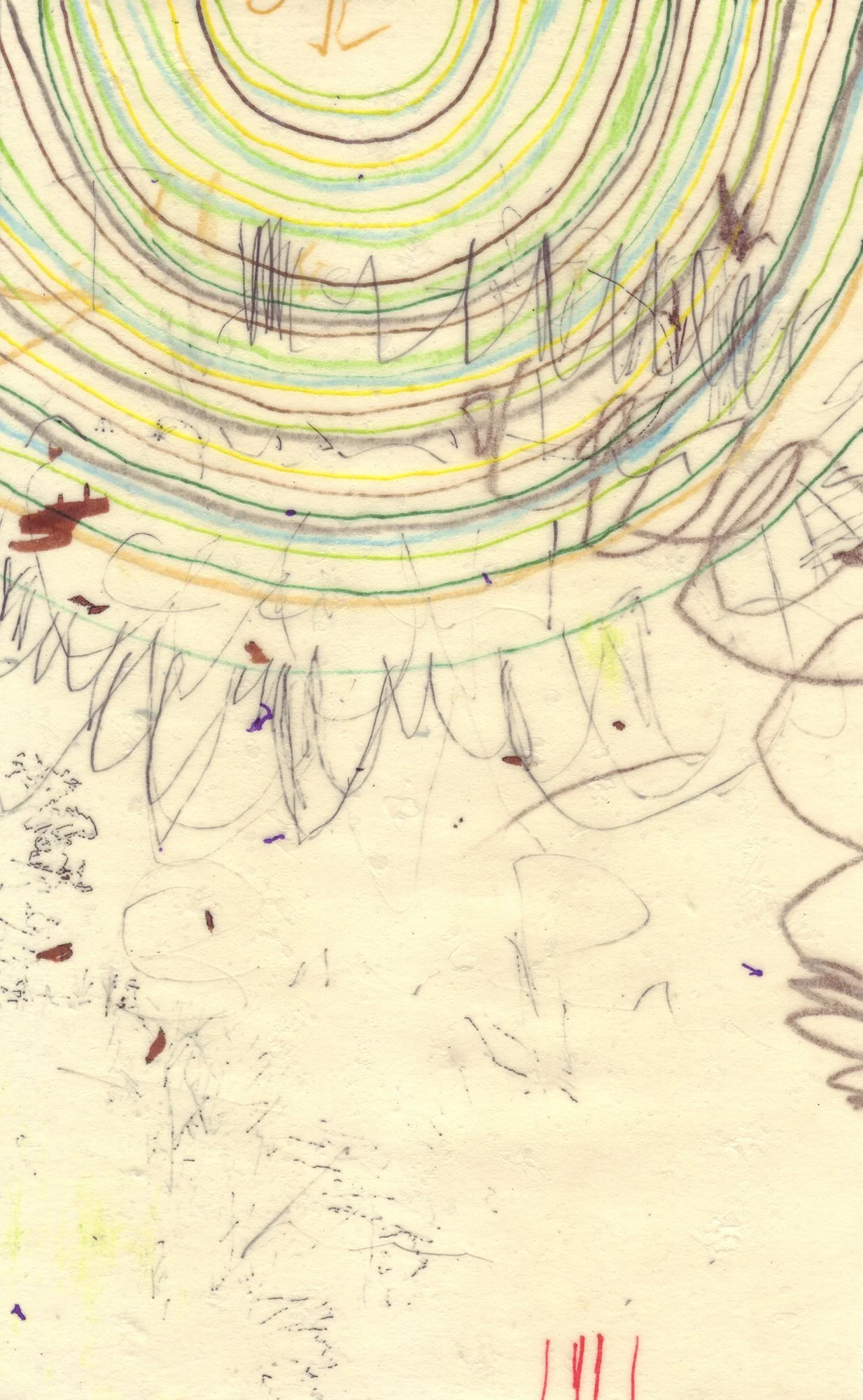  The Earth on the Back of the Giant Turtle  — permanent marker, pigment transfer on paper, 8 x 5 inches, 2007