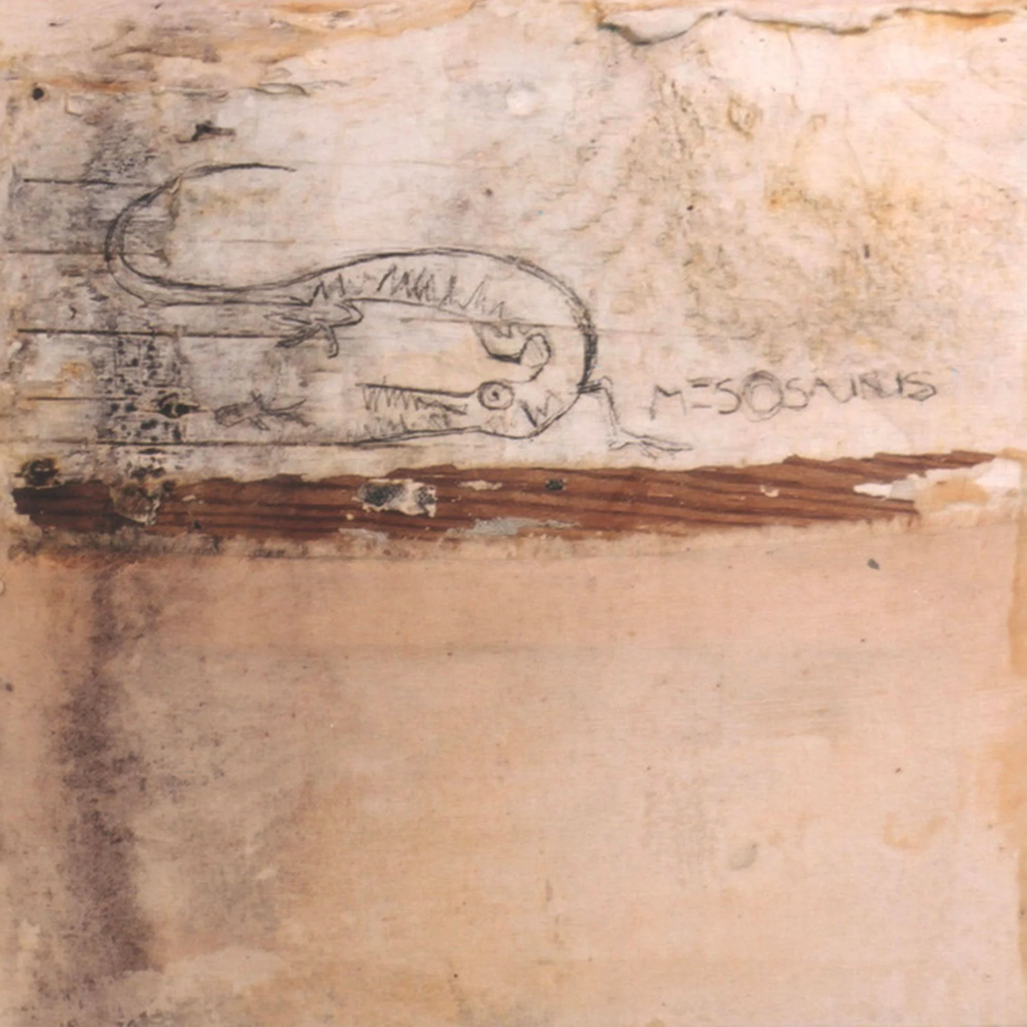  Mesosaurus  — acrylic, graphite on canvas and wood, 10 x 10 inches, 2001