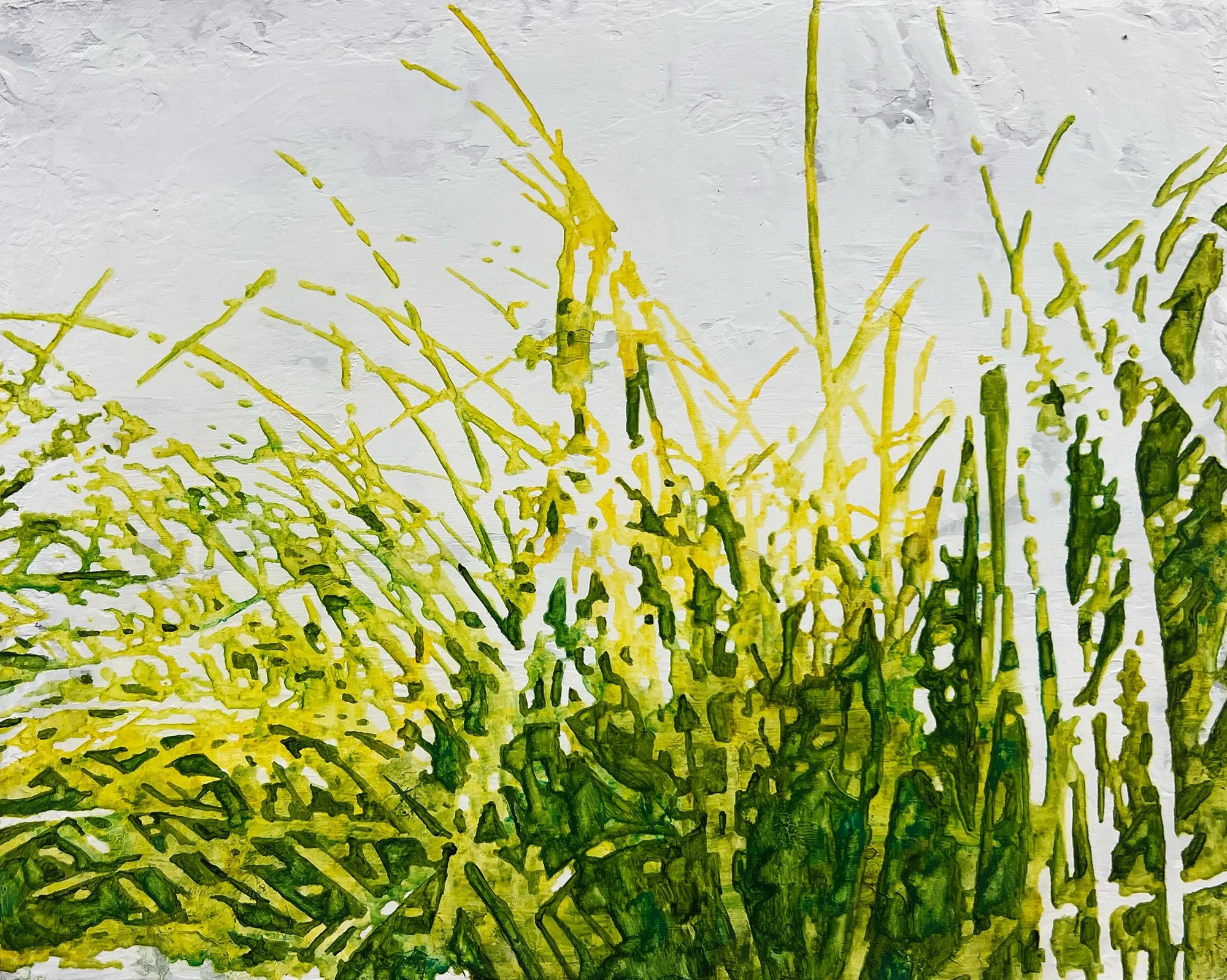  Pampas Grass  — oil on canvas, 8 x 10 inches, 2025