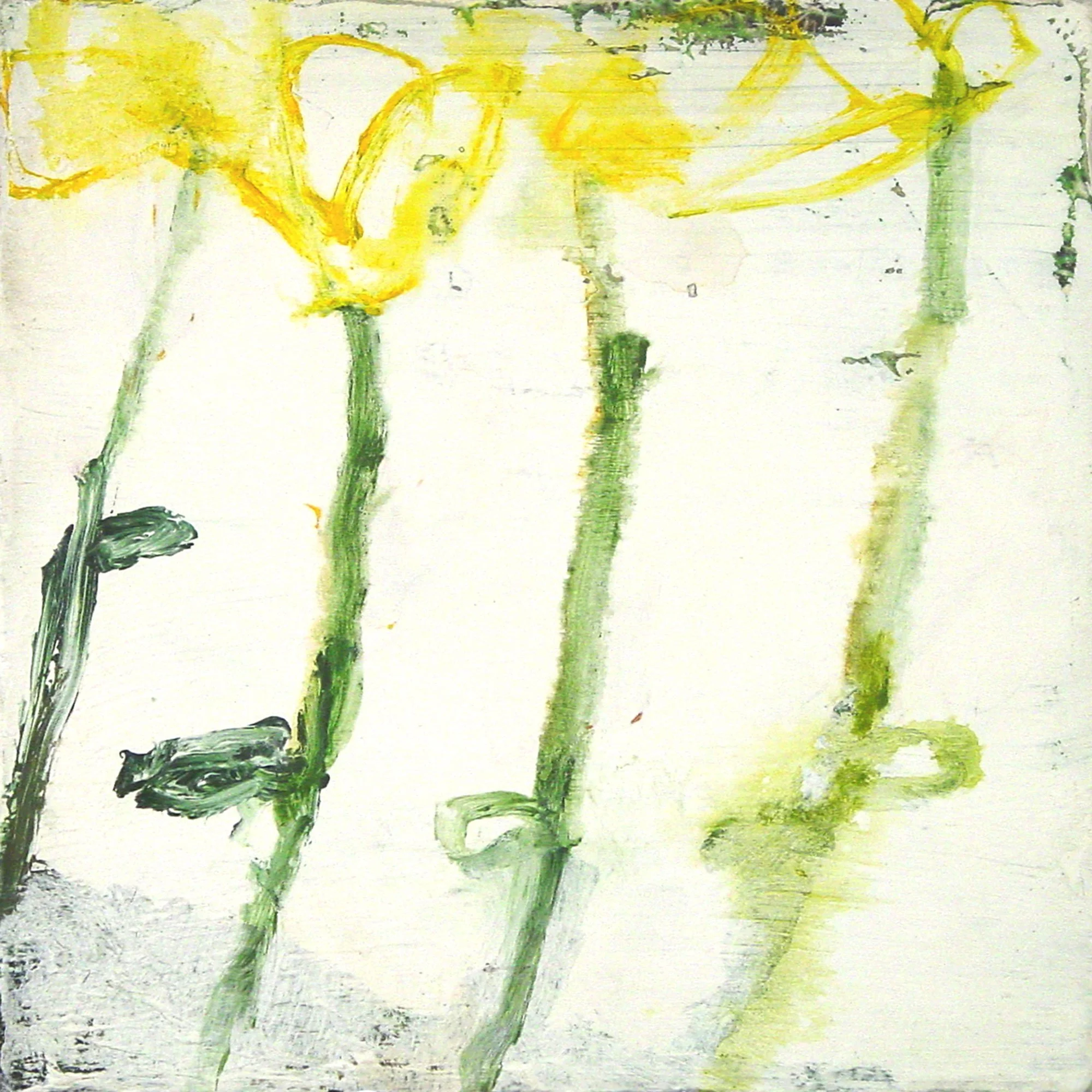  ollinators Carry Pollen from One Flower to Another  — acrylic, pigment transfer on canvas, 10 x 10 inches, 2003