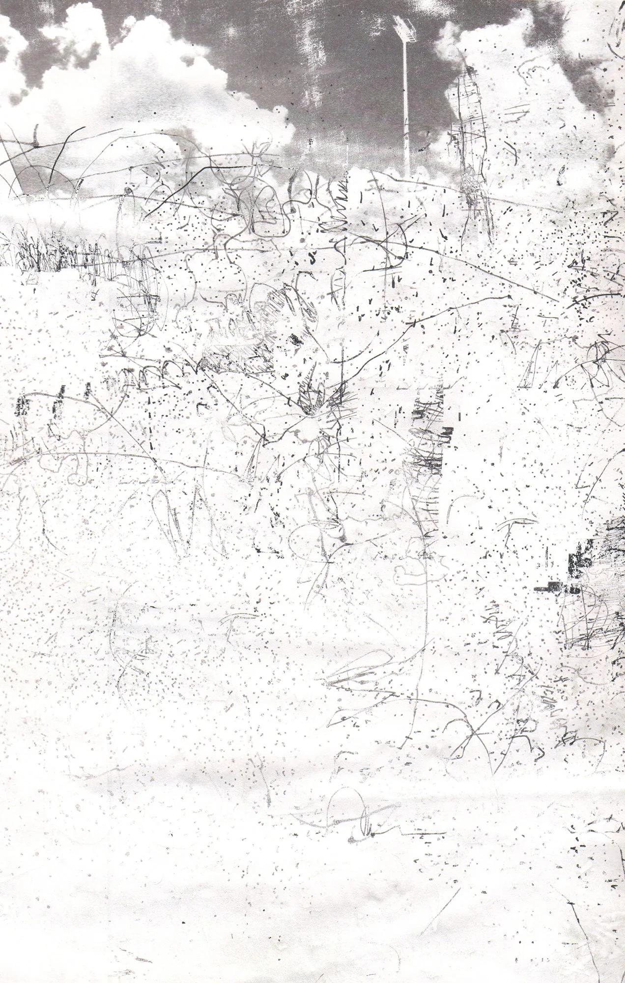  The Earth on the Back of the Giant Turtle  — pigment transfer on canvas, 11 x 7 inches, 2007