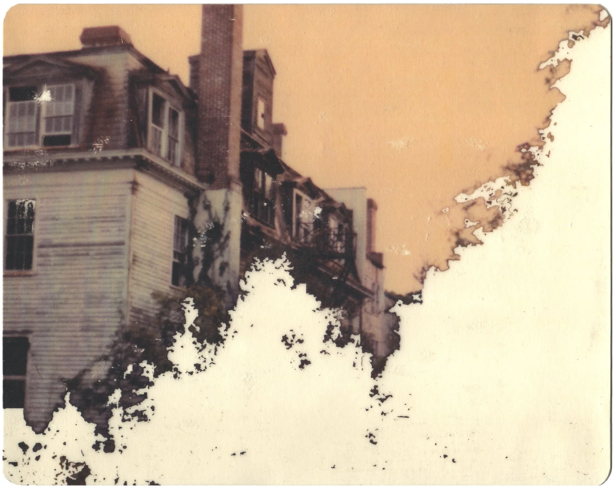  The Monarchs' Migration  — pigment transfer on paper, 8 x 10 inches, 2009
