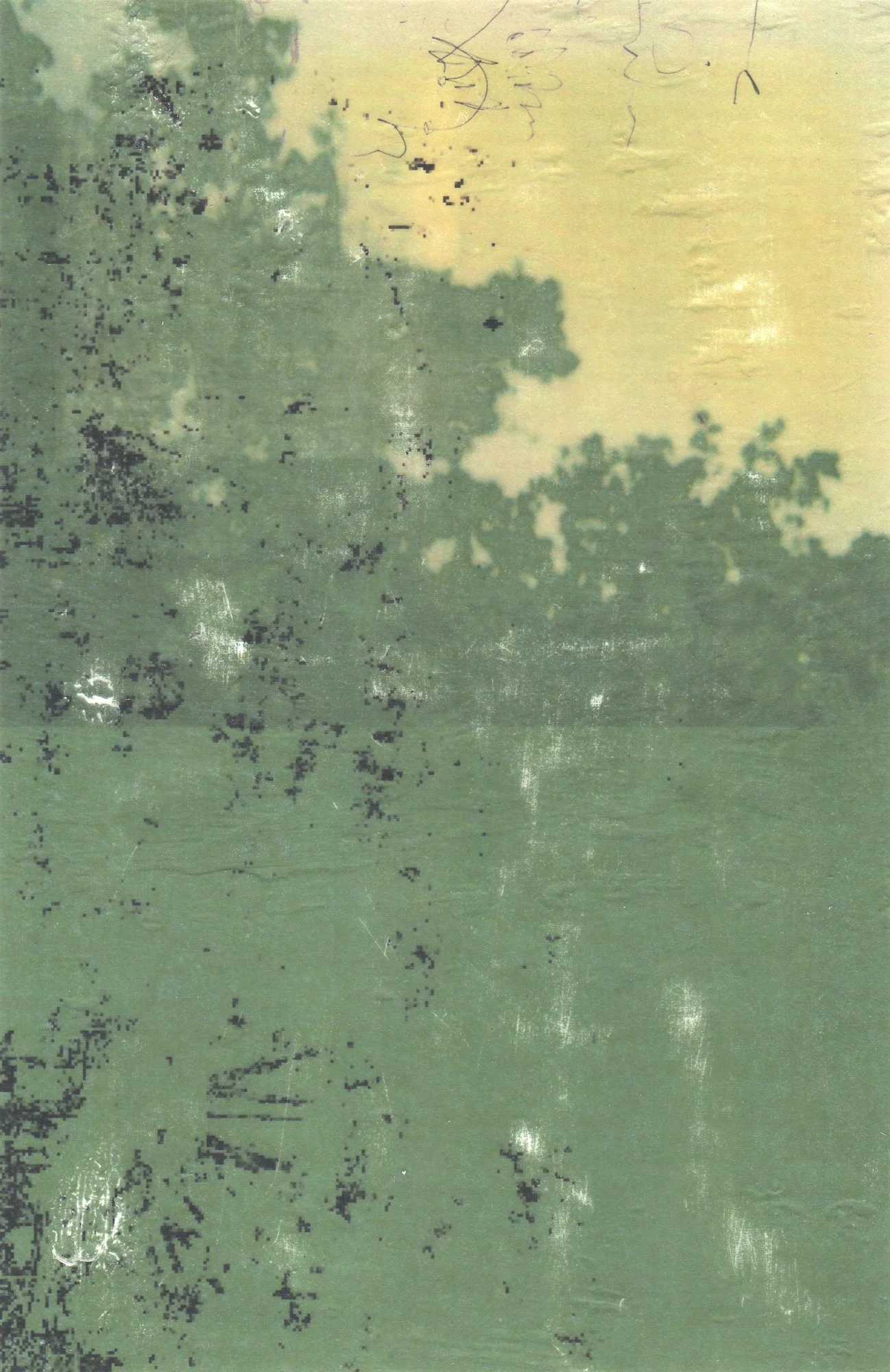  The Earth on the Back of the Giant Turtle  — pigment transfer on canvas, 11 x 7 inches, 2007