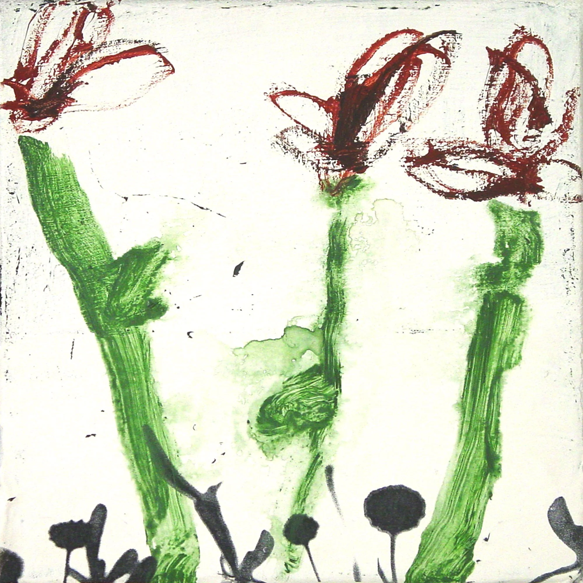  Nectar Is Essentially an Aqueous Solution of Sugars  — acrylic, pigment transfer on canvas, 10 x 10 inches, 2003