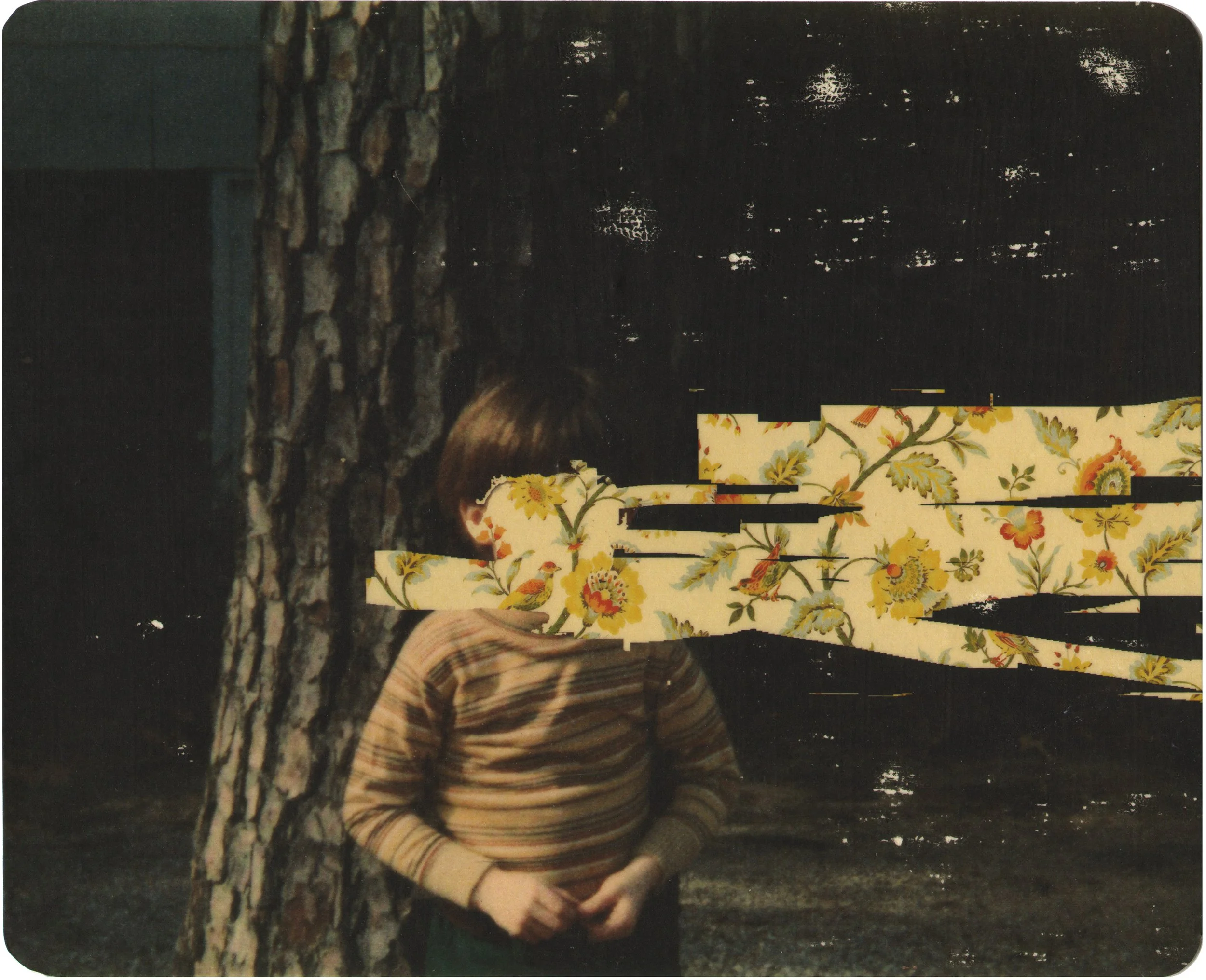  Unexplained Mysteries of the Universe  — pigment transfer on paper, 8 x 10 inches, 2010