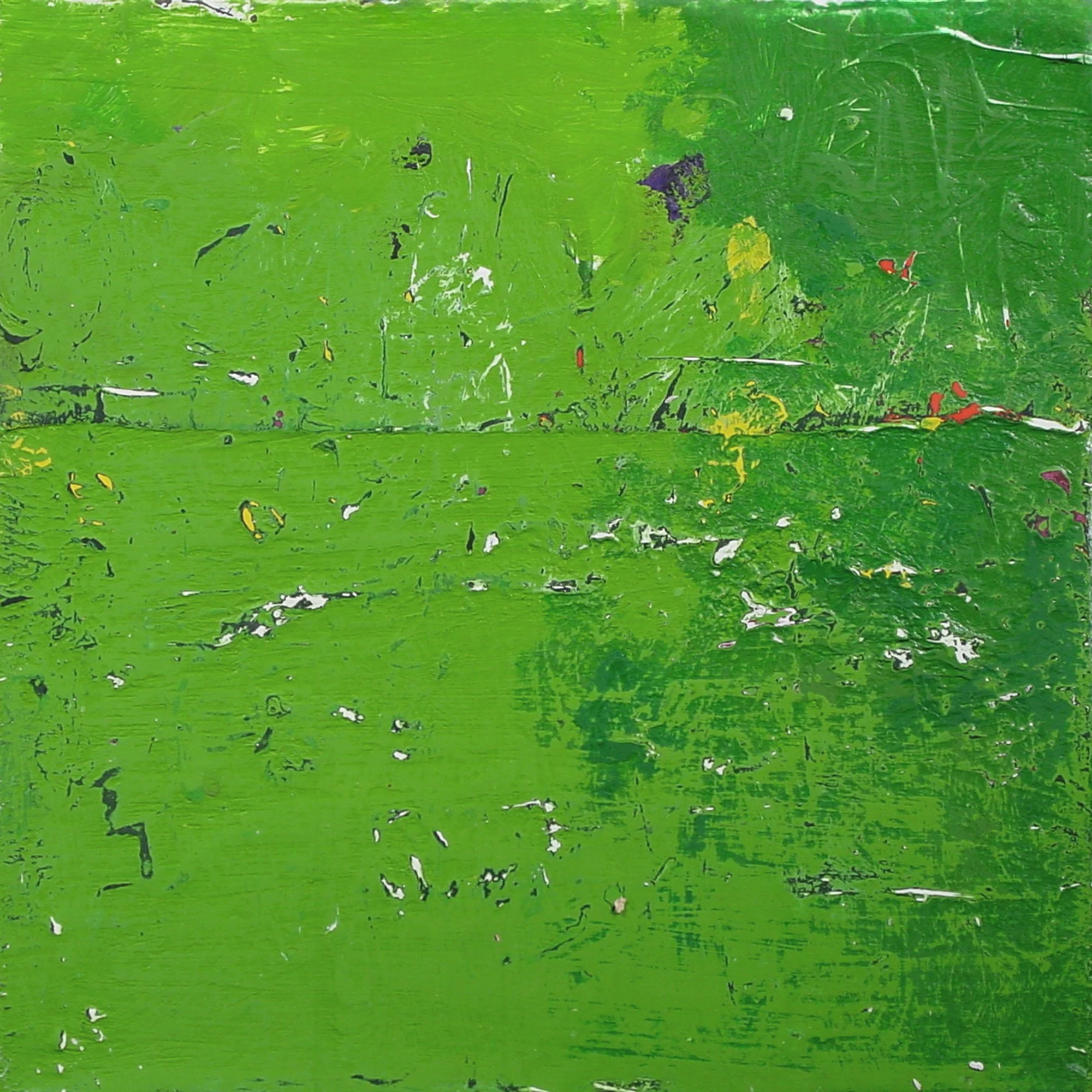  Great Sea Creatures & Punica Granatum  — acrylic on canvas, 10 x 10 inches, 2004