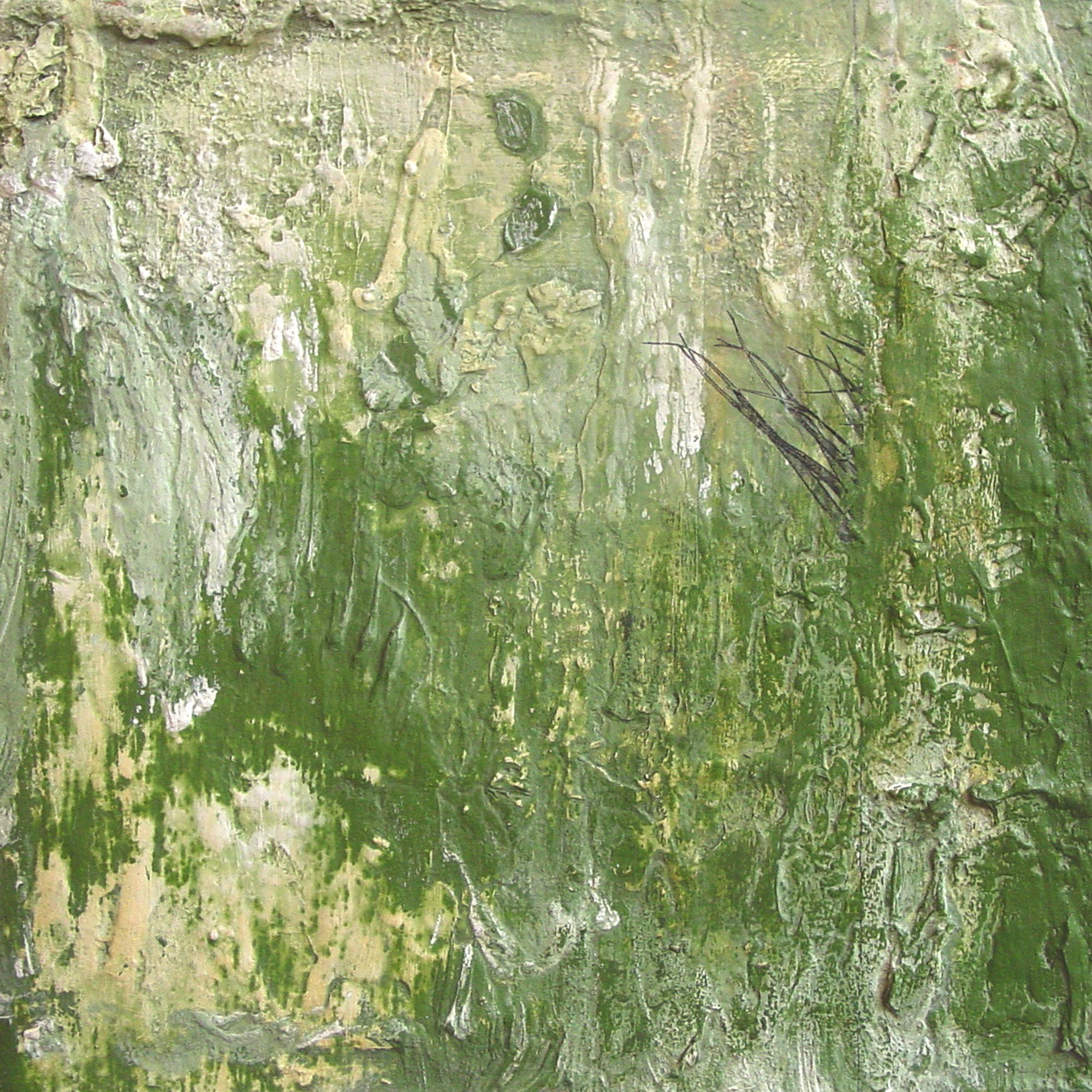  Capers Island  — acrylic, pigment transfer on canvas, 10 x 10 inches, 2002