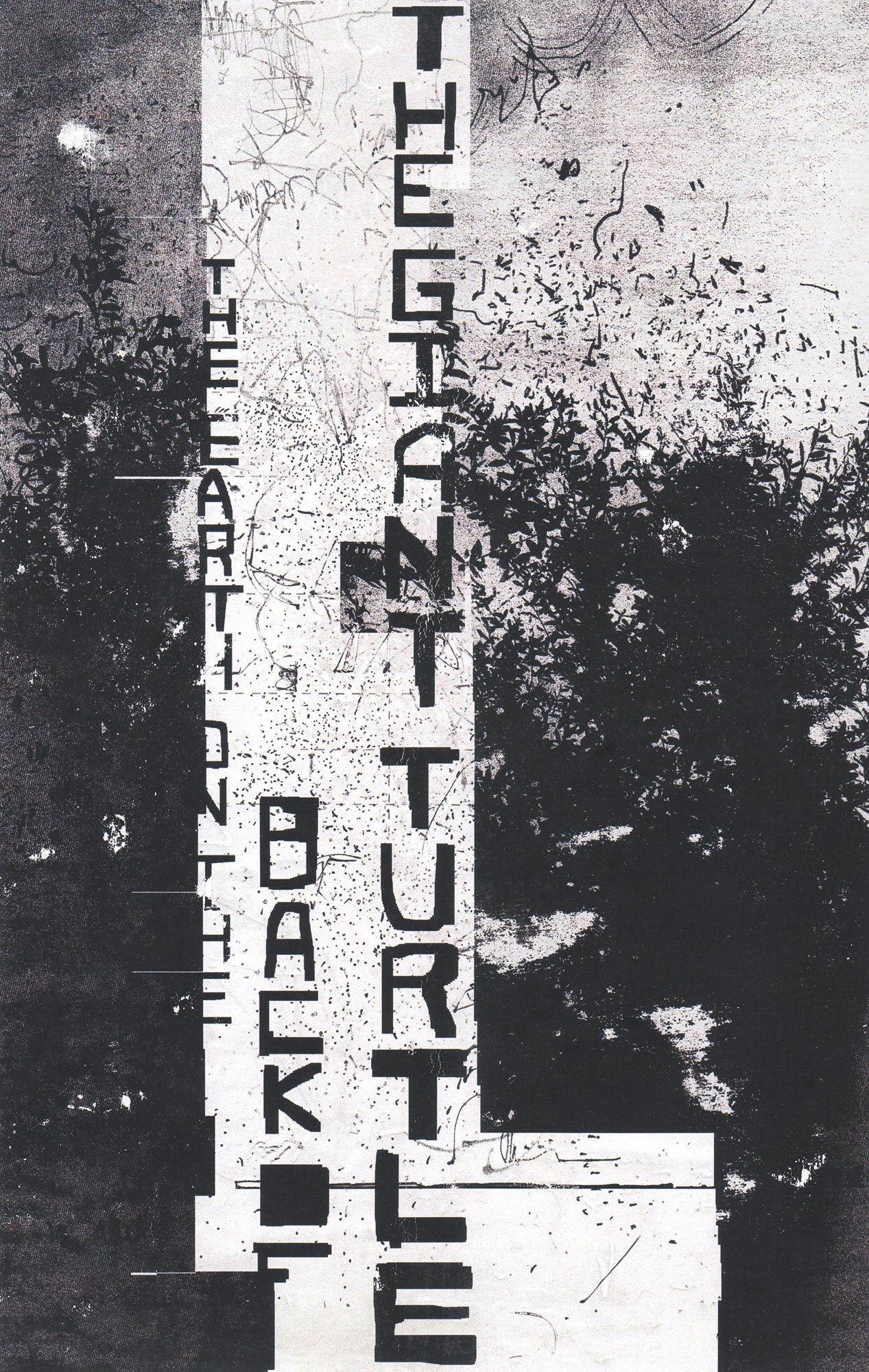  The Earth on the Back of the Giant Turtle  — pigment transfer on canvas, 11 x 7 inches, 2007
