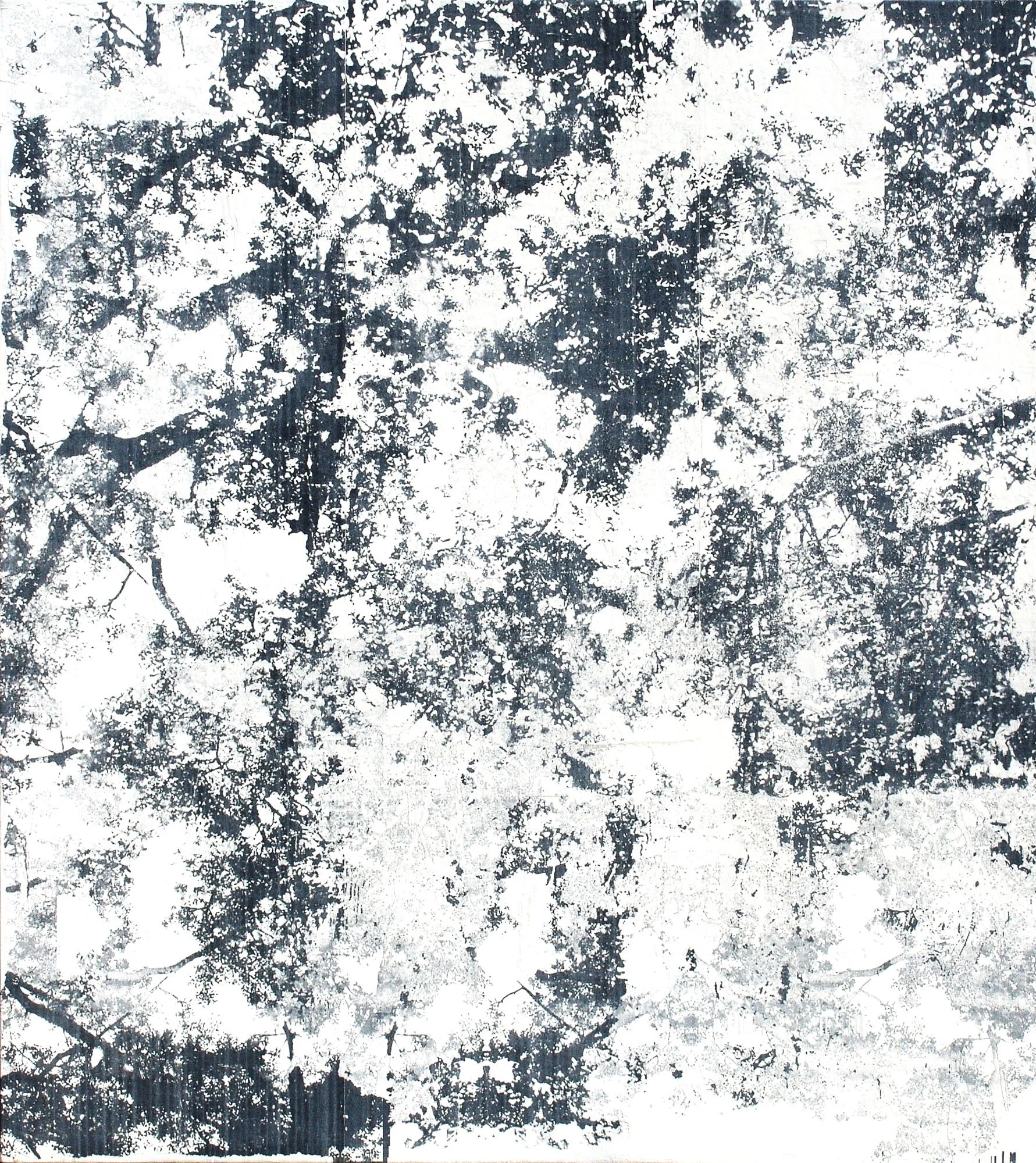  The Earth on the Back of the Giant Turtle  — pigment transfer on canvas, 60 x 52 inches, 2007
