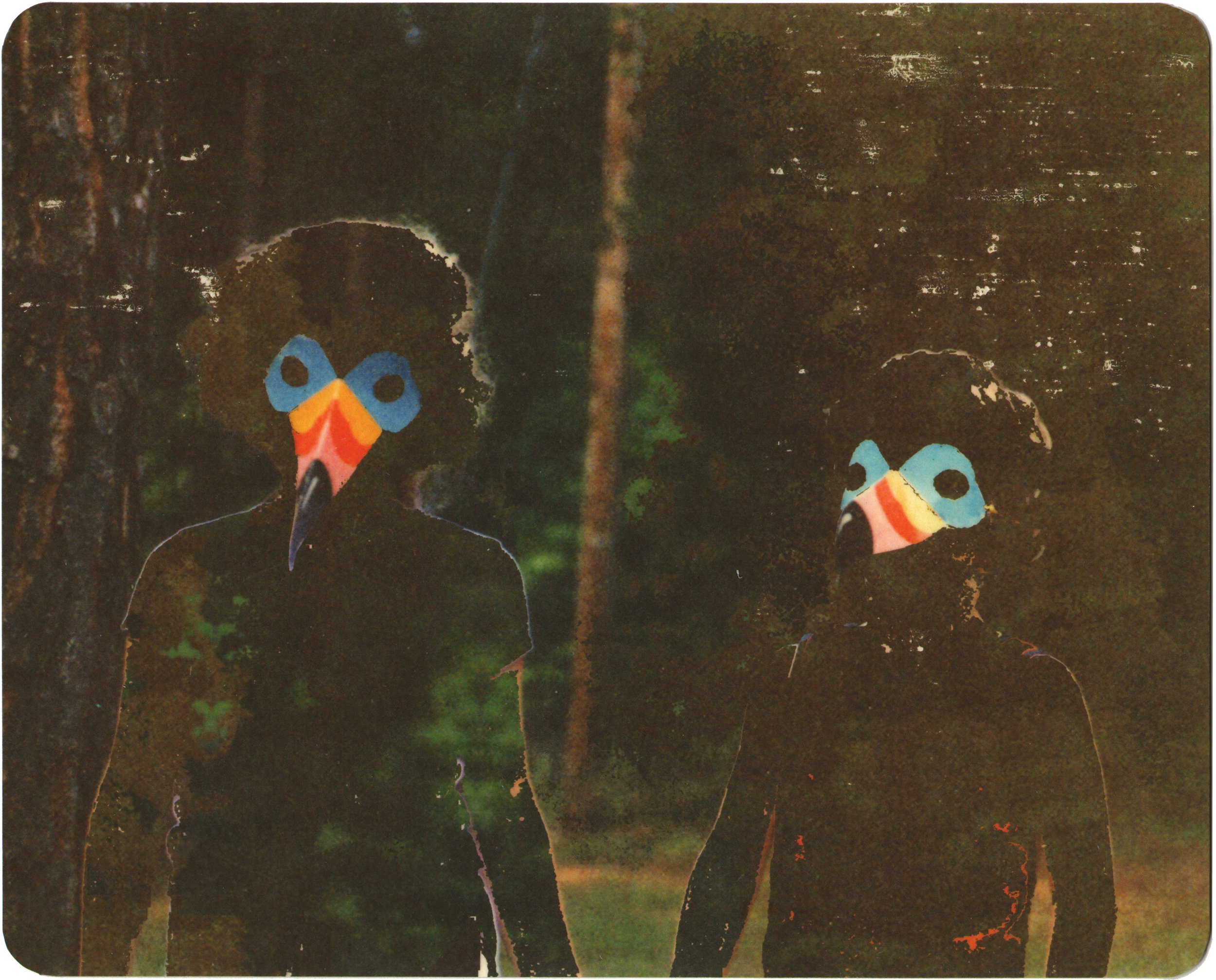  Toucan Sams  — pigment transfer on paper, 8 x 10 inches, 2010
