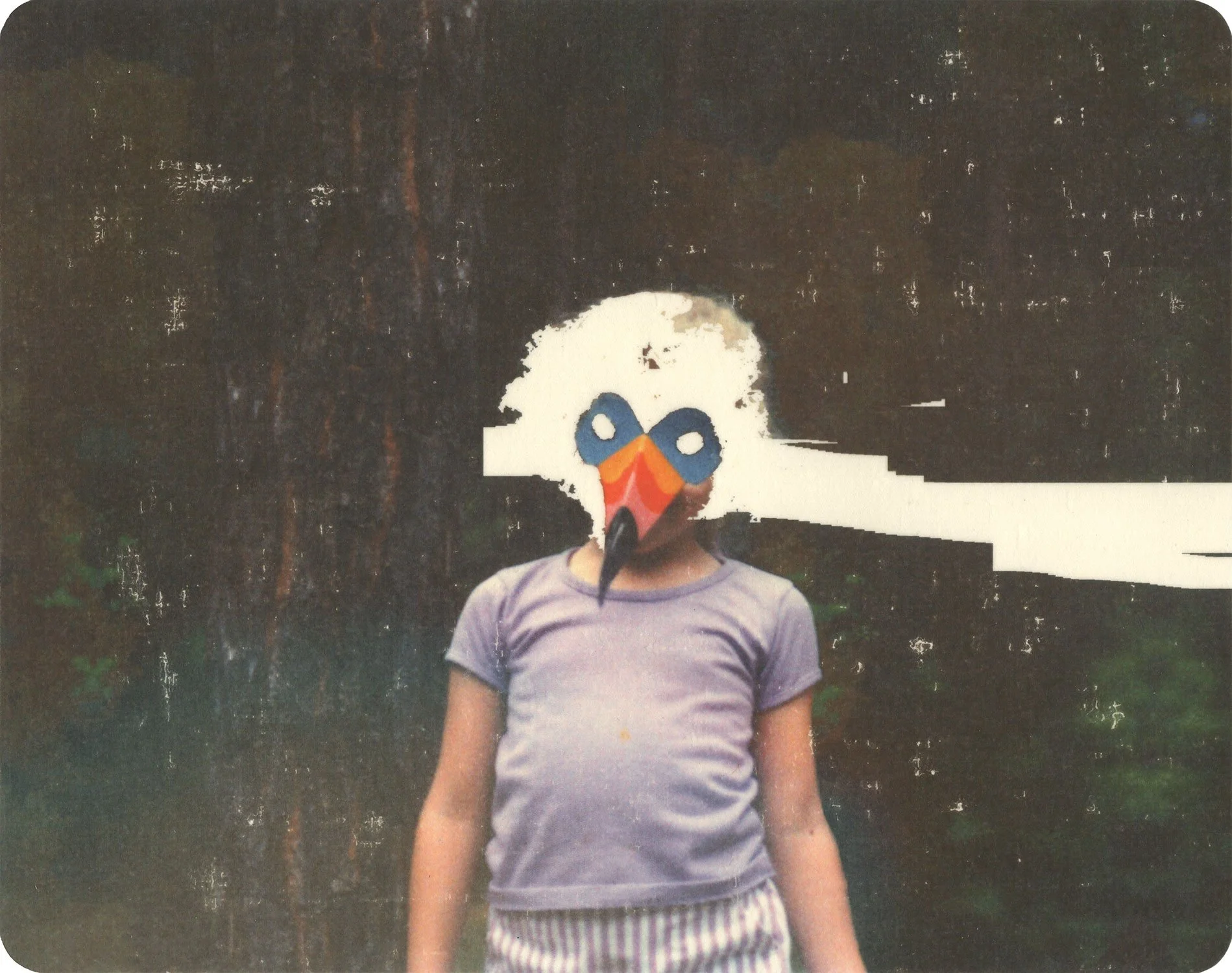  Toucan Sam  — pigment transfer on paper, 8 x 10 inches, 2017
