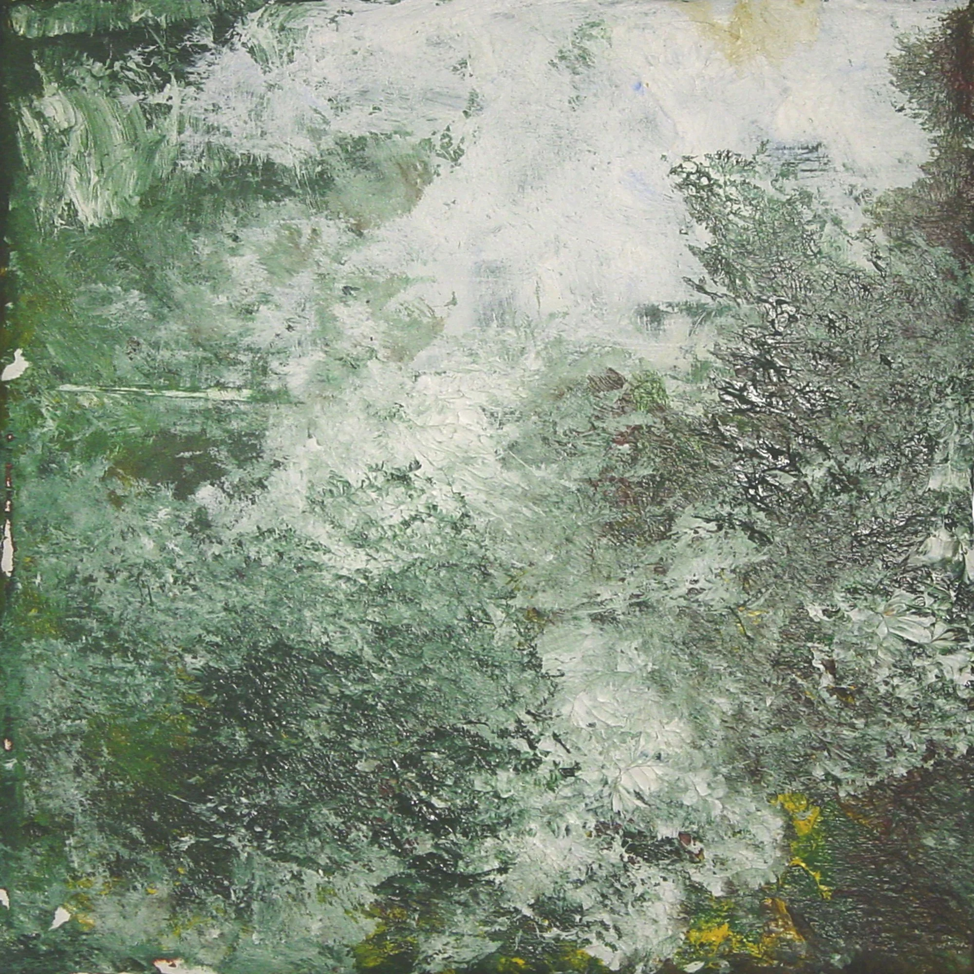 Plants Obtain Mineral Nutrients Through Their Roots  — acrylic on canvas, 10 x 10 inches, 2003