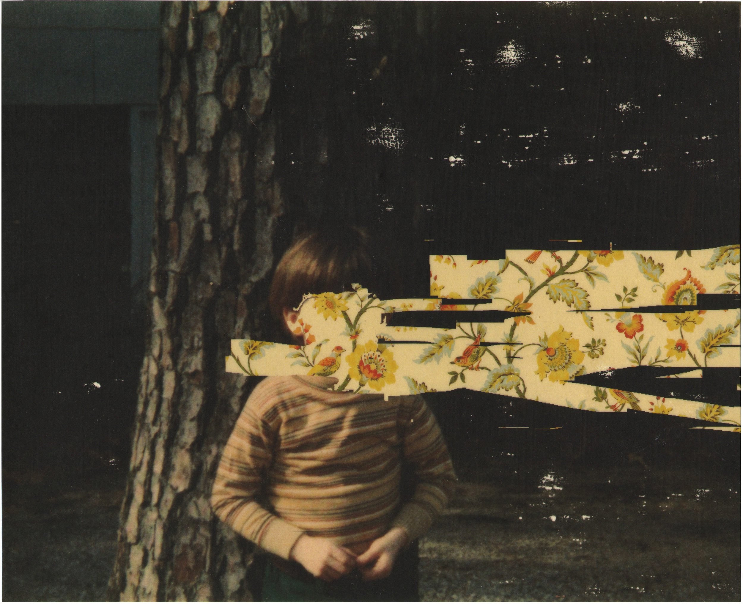 Hollis Brown Thornton pigment transfer of a partially erased child standing beside a tree, with floral wallpaper extending in horizontal bands across the figure and dark background.