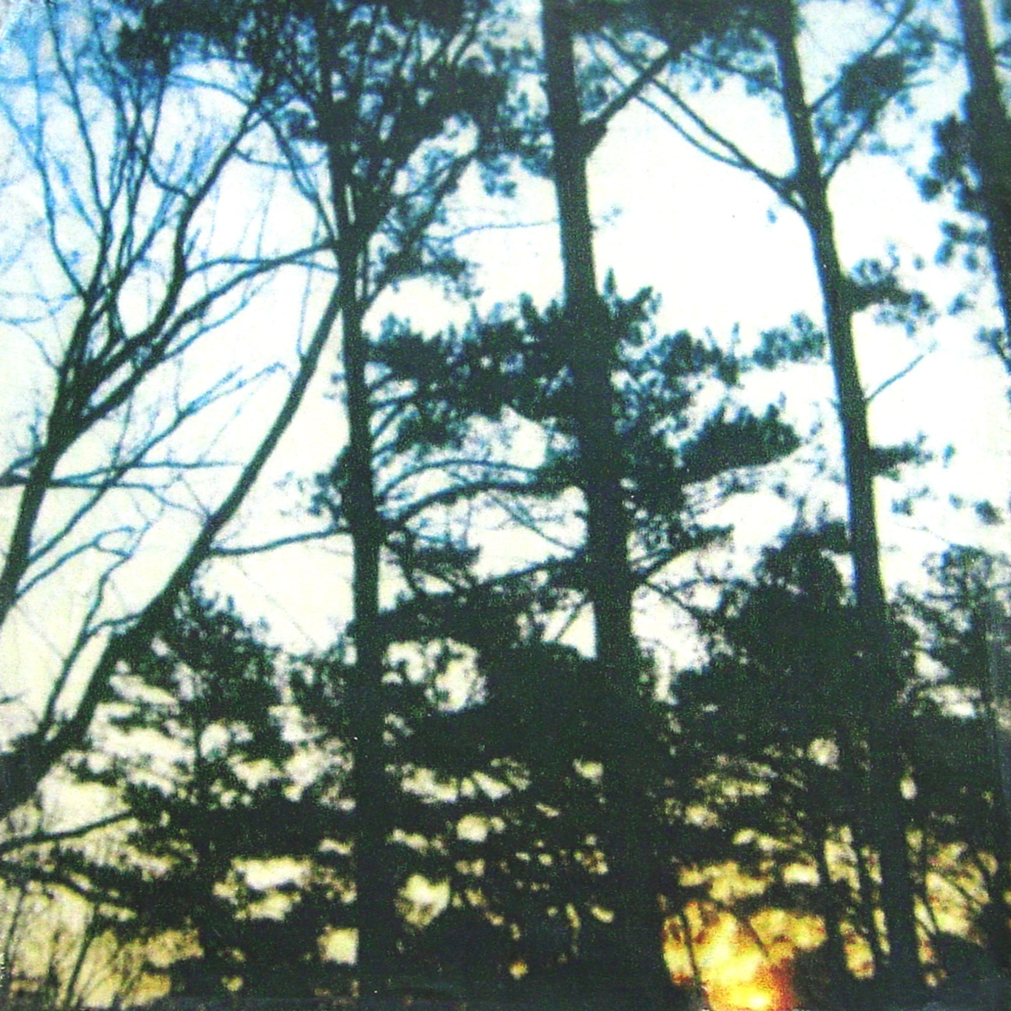 Earth Diameter 7,926 Miles  — pigment transfer on canvas, 10 x 10 inches, 2003
