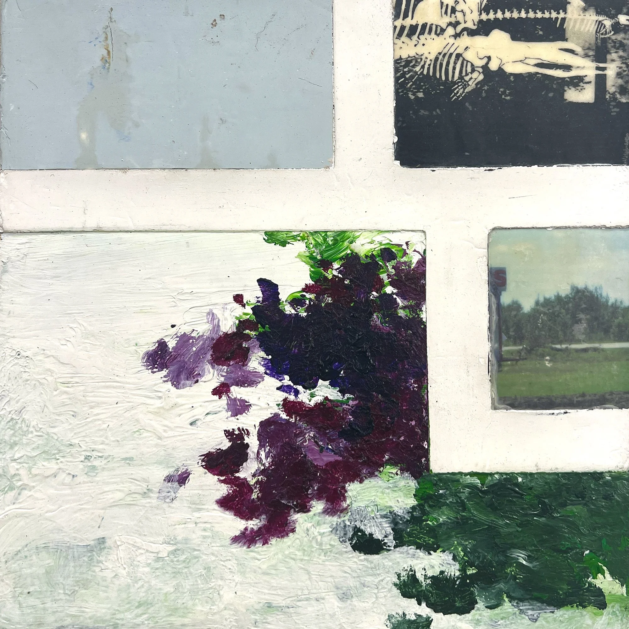  Natural Processes Take a Long Time to Produce Noticeable Change  — acrylic, pigment transfer on canvas, 10 x 10 inches, 2005