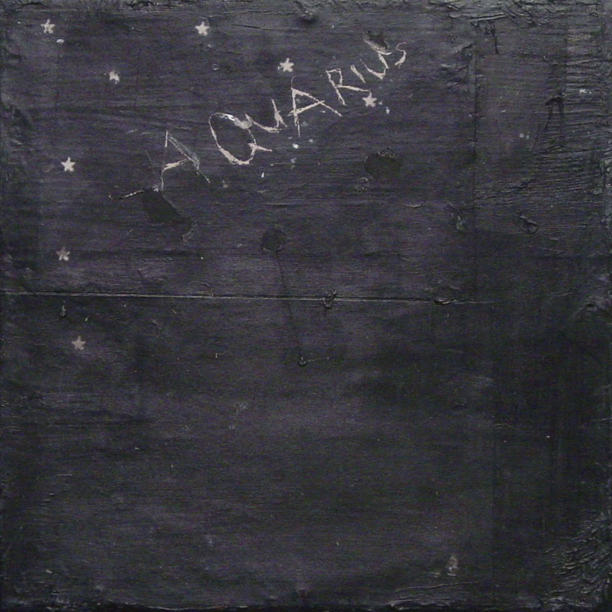  Aquarius  — acrylic, ink jet print on canvas, 10 x 10 inches, 2001