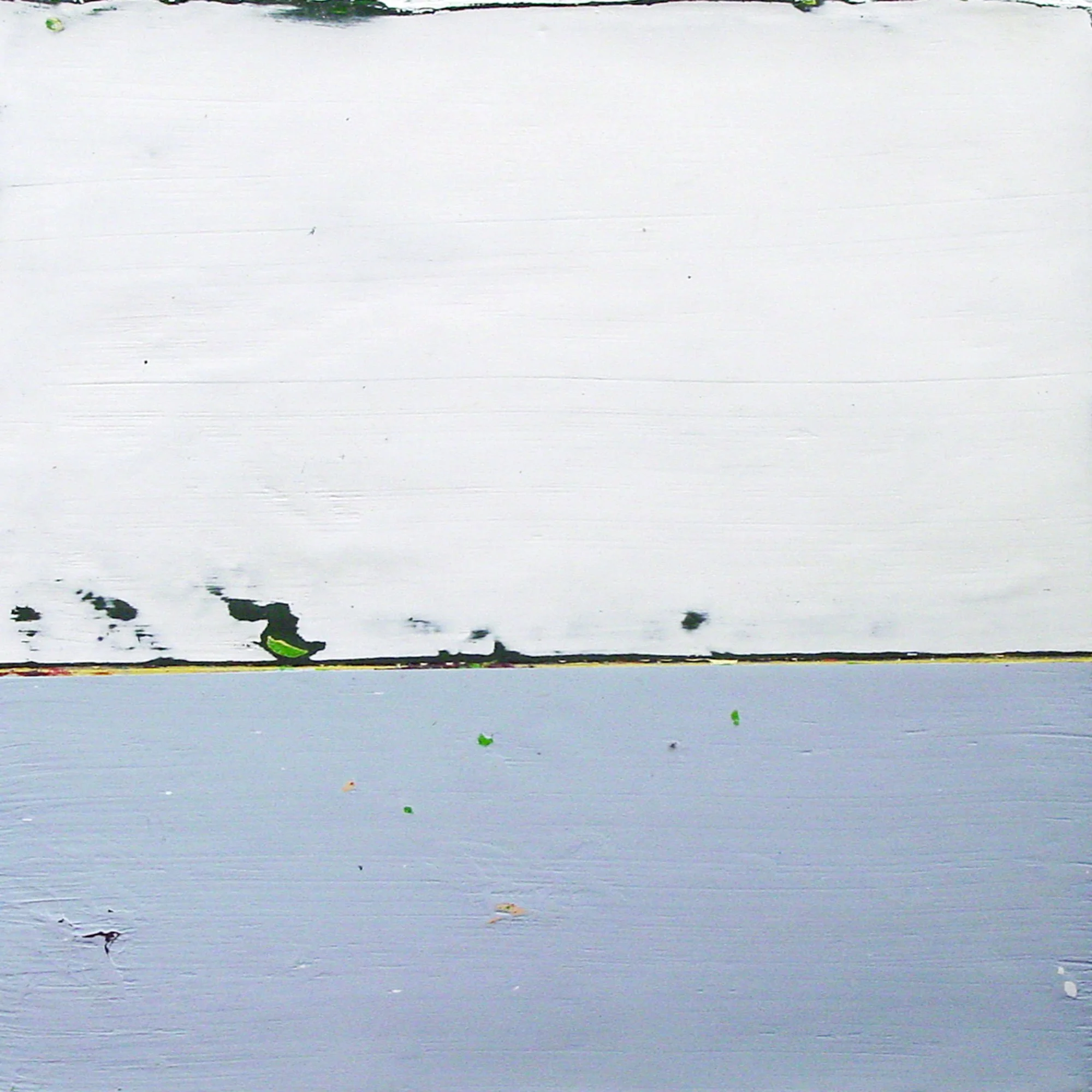  Great Sea Creatures & Punica Granatum  — acrylic on canvas, 10 x 10 inches, 2004