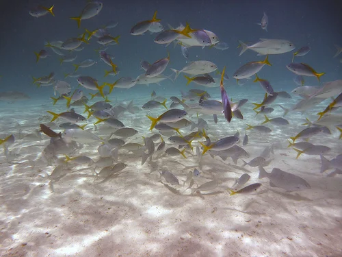   &nbsp; Crédito:&nbsp; www.liligo.es  