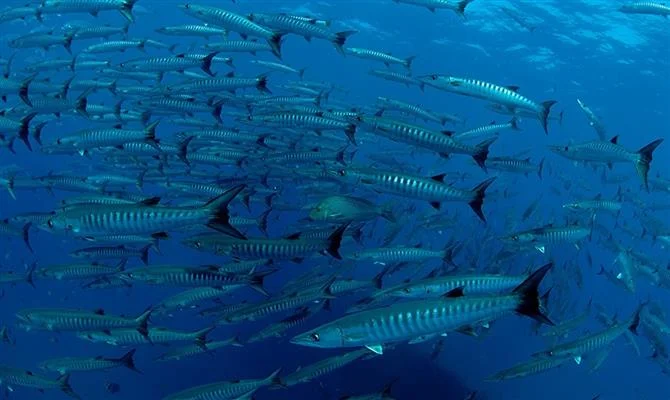  Crédito:&nbsp; www.panrotas.com.br  