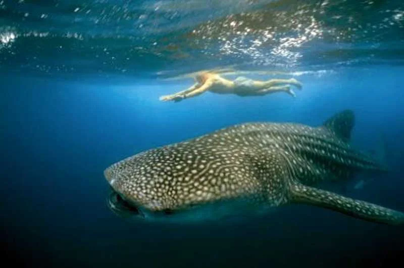  Crédito: &nbsp;  www.luxuriousmexico.com    