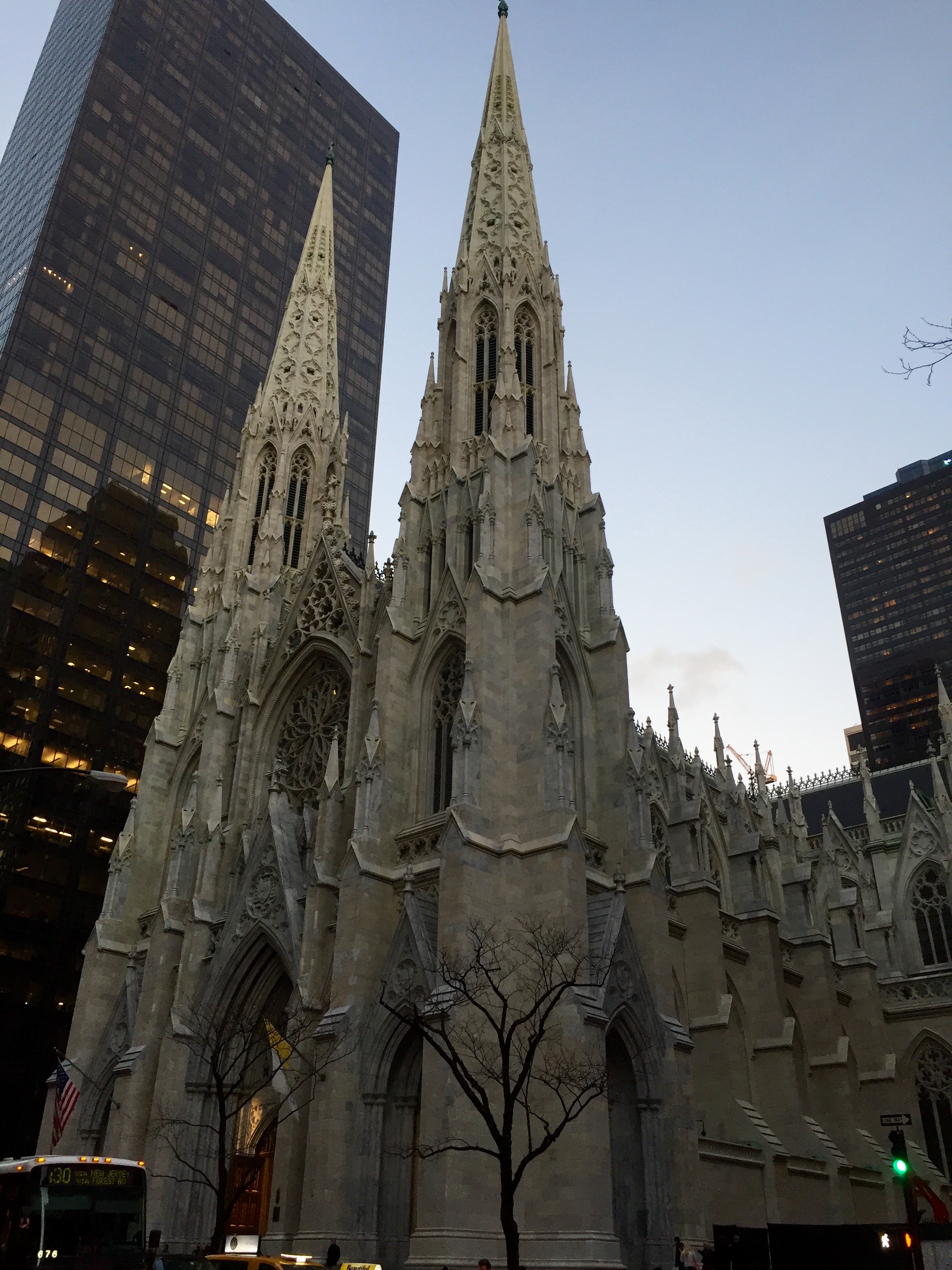  St. Patrick’s Cathedral 