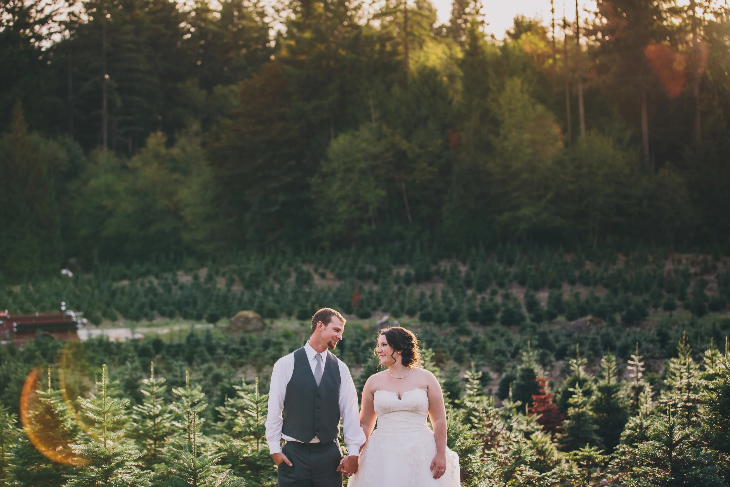 Eric & Hilary // Trinity Tree Farm Wedding