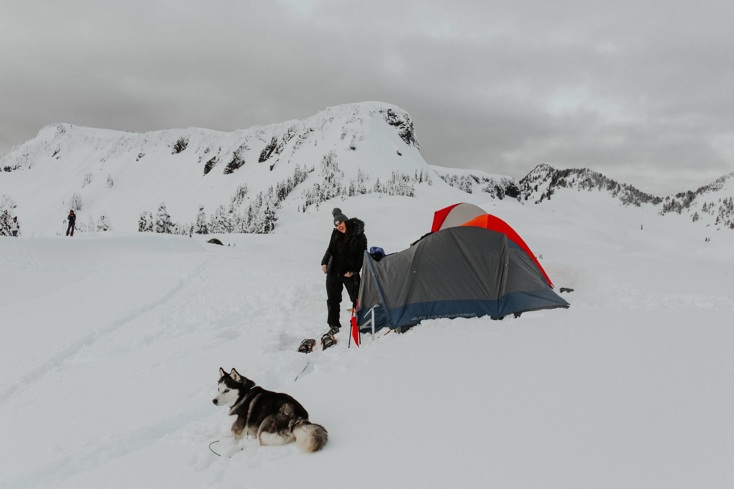 north-cascades-elopement-photographer-mount-baker-husky-snow-camping.jpg