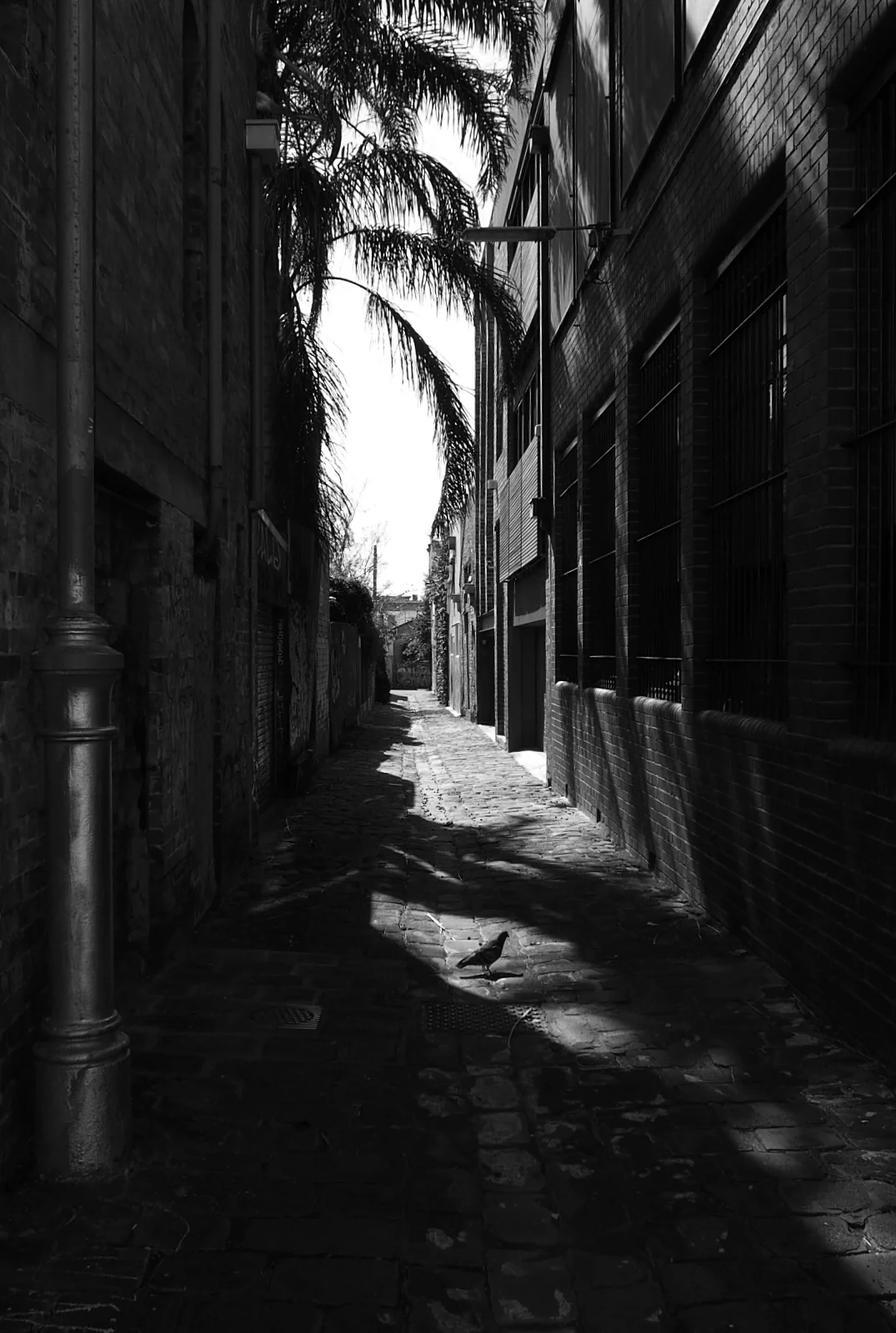photo 1.JPG