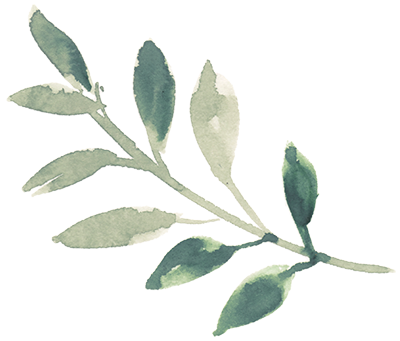 flower6 400px.png