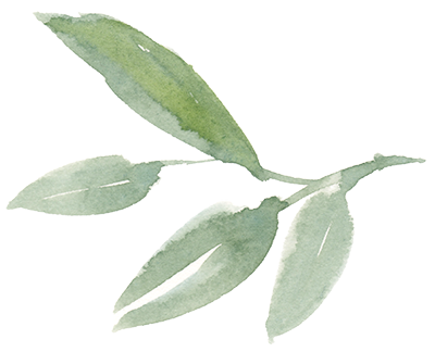 flower4.png