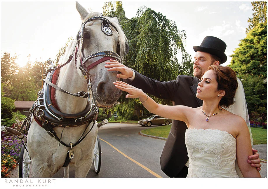 vancouver-aquarium-wedding